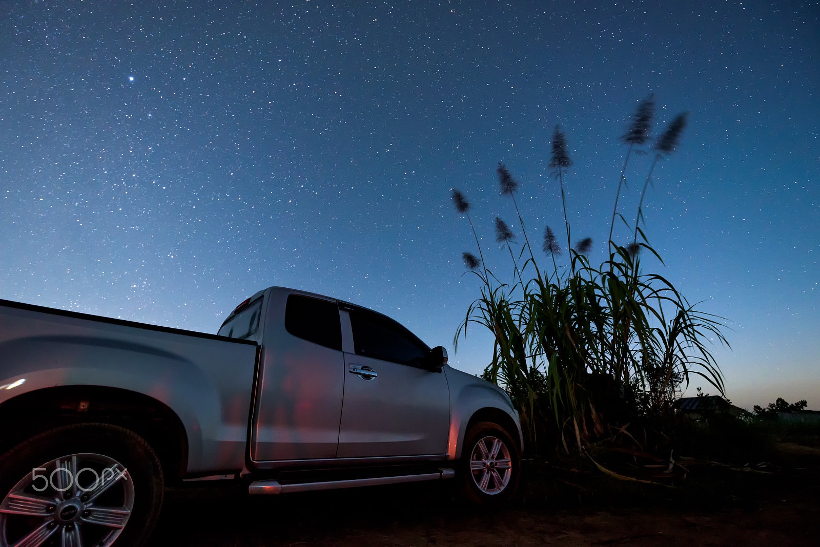 Tamron SP 15-30mm F2.8 Di VC USD sample photo. Pickup truck is parking near sugarcane tree under the night sky. photography