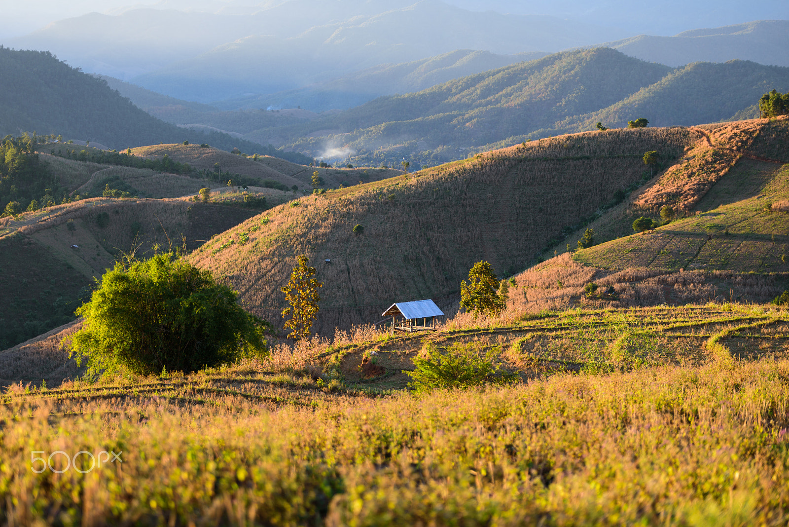 Nikon D750 + Tamron SP 70-200mm F2.8 Di VC USD sample photo. Recluse cabin on the rice field one the mountain. photography