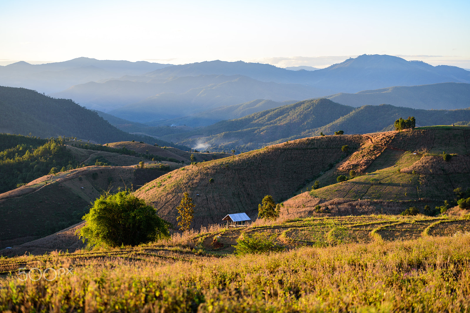 Nikon D750 + Tamron SP 70-200mm F2.8 Di VC USD sample photo. Recluse cabin on the rice field one the mountain. photography