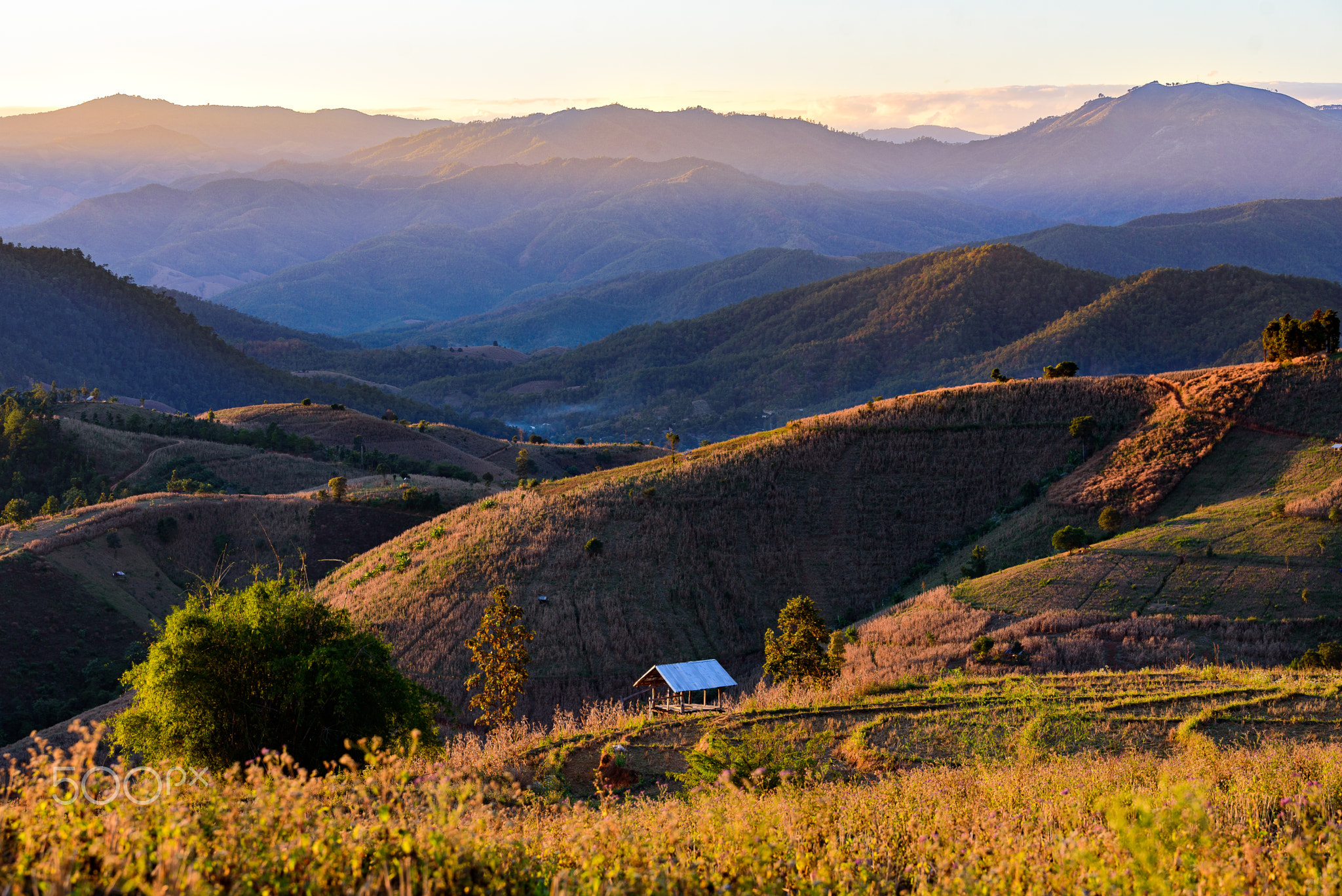 Recluse cabin on the rice field one the mountain.