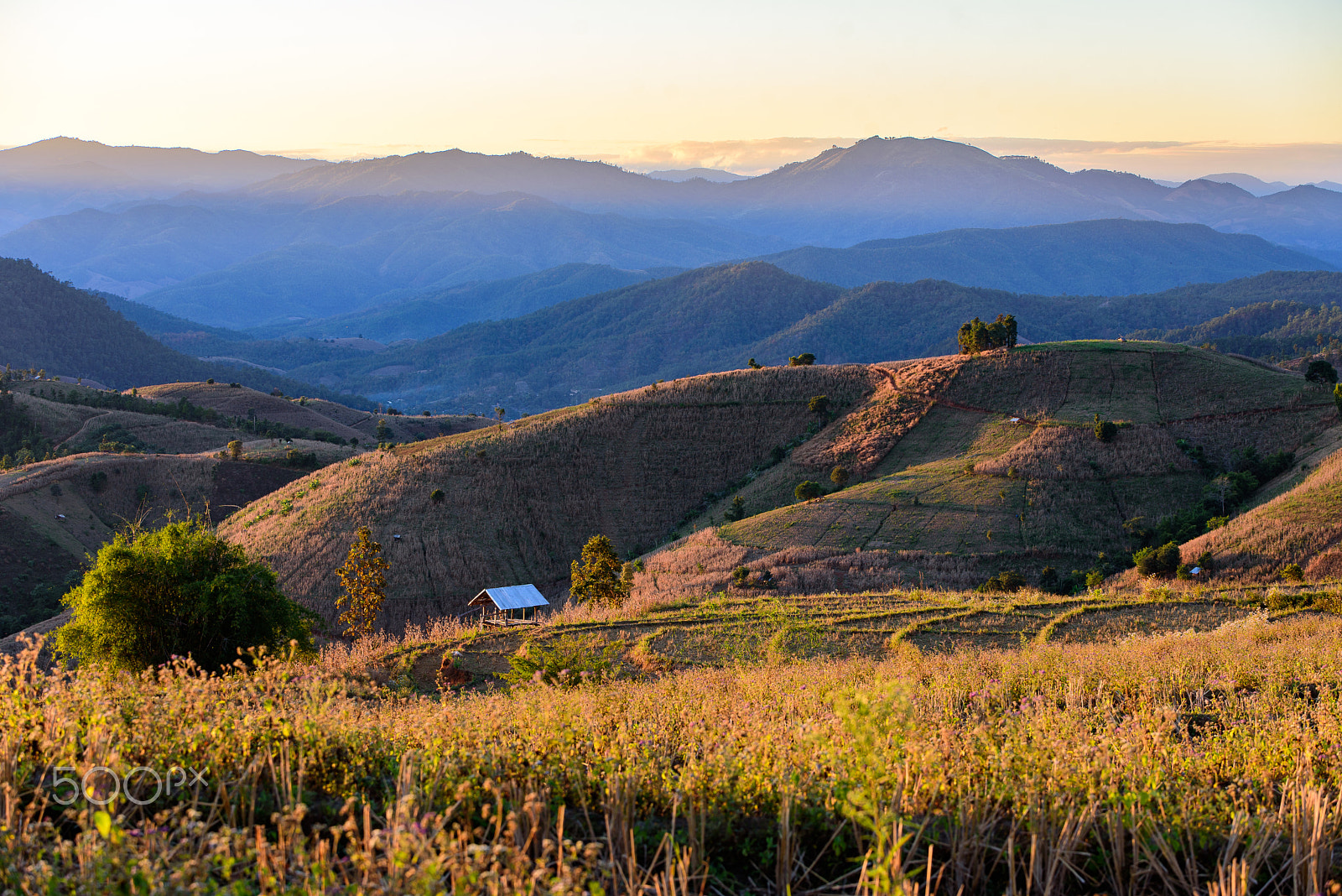 Nikon D750 + Tamron SP 70-200mm F2.8 Di VC USD sample photo. Recluse cabin on the rice field one the mountain. photography