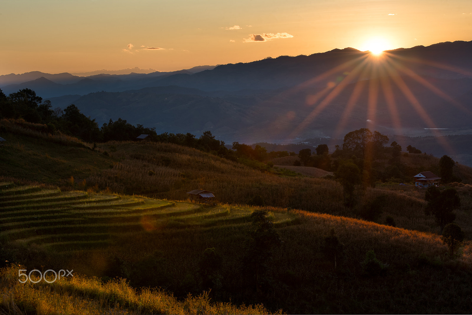 Nikon D750 + Tamron SP 70-200mm F2.8 Di VC USD sample photo. Recluse cabin on the rice field one the mountain. photography