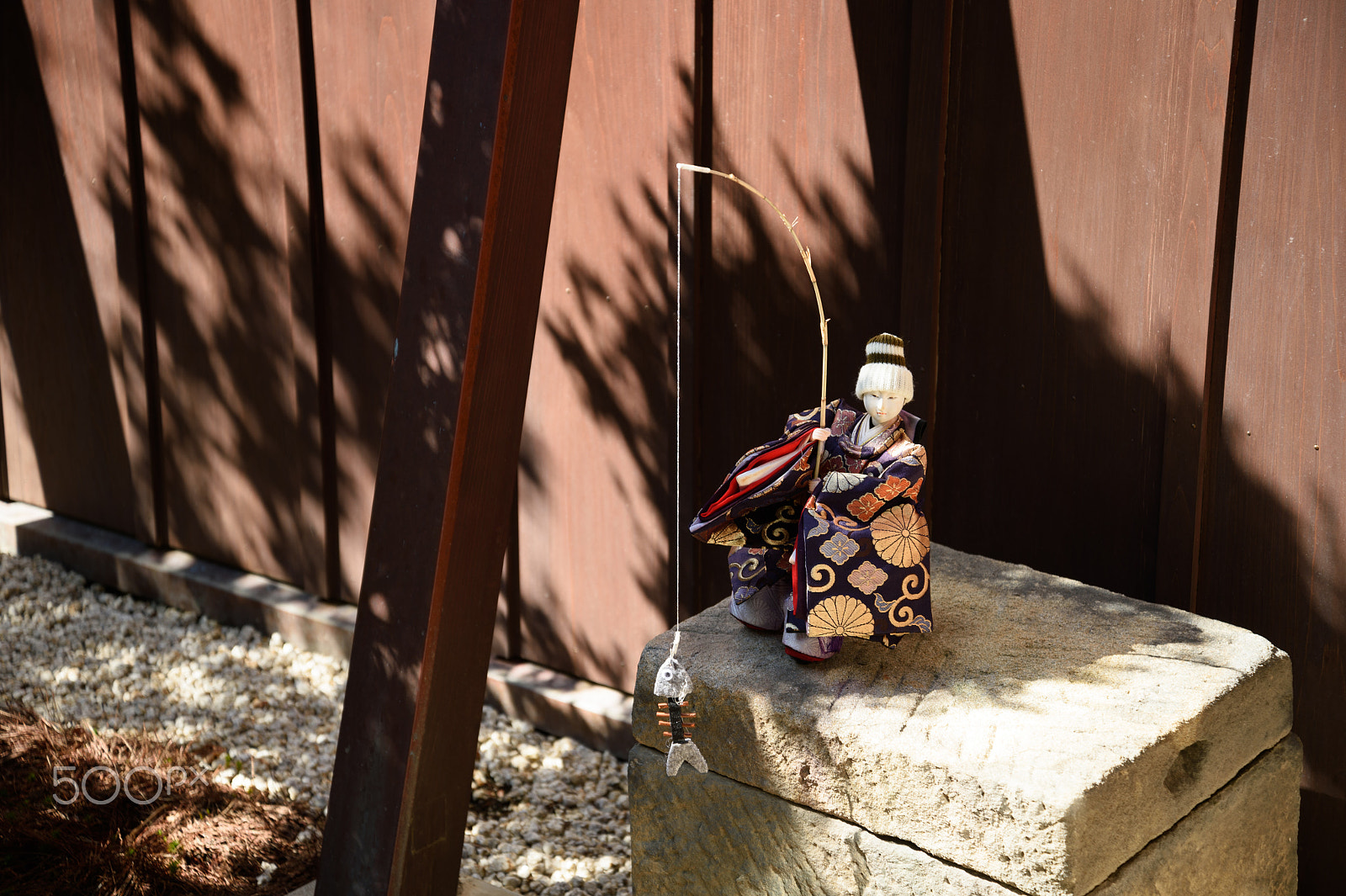 Nikon Df sample photo. Fishing photography