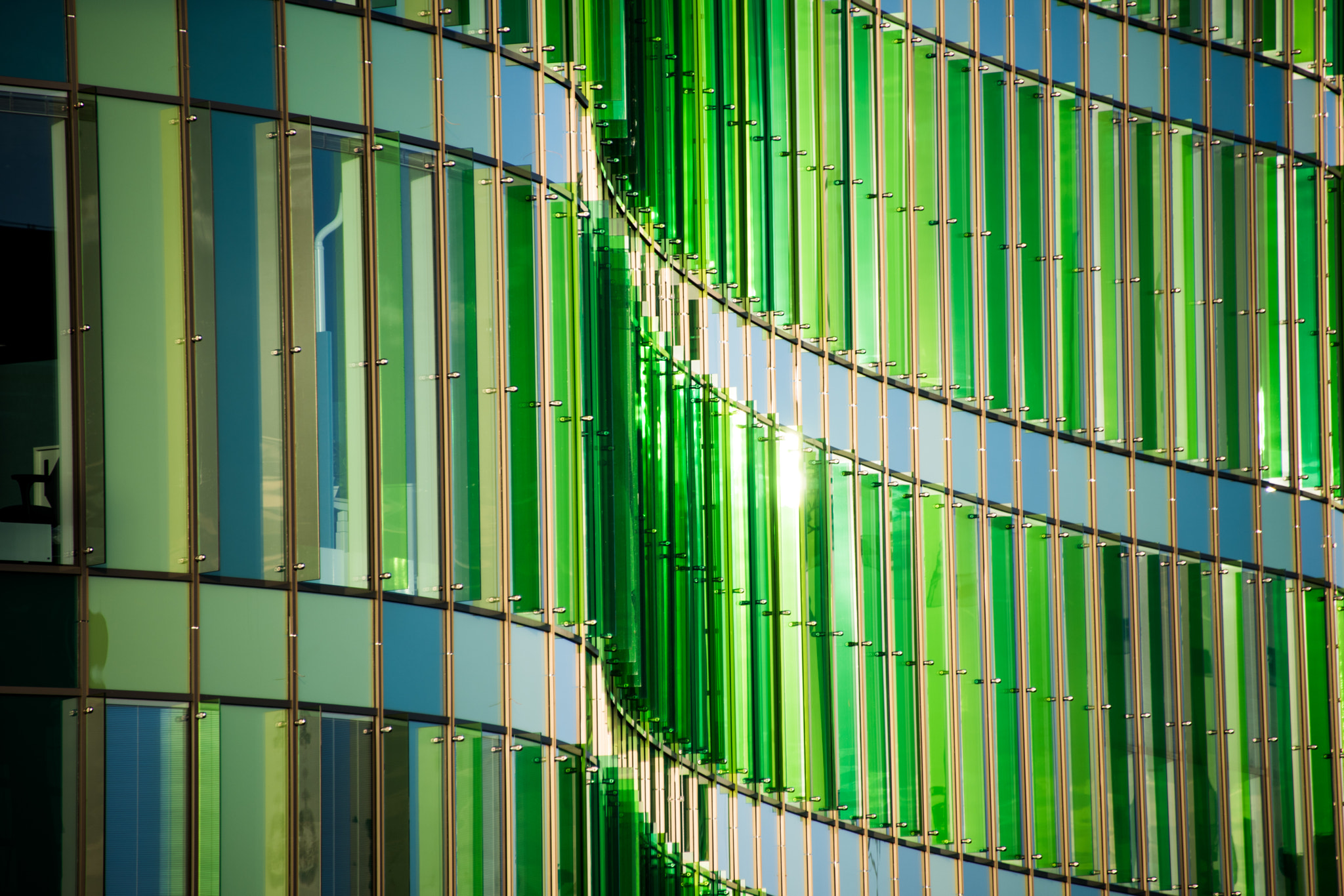 Nikon D810 sample photo. Green snake photography