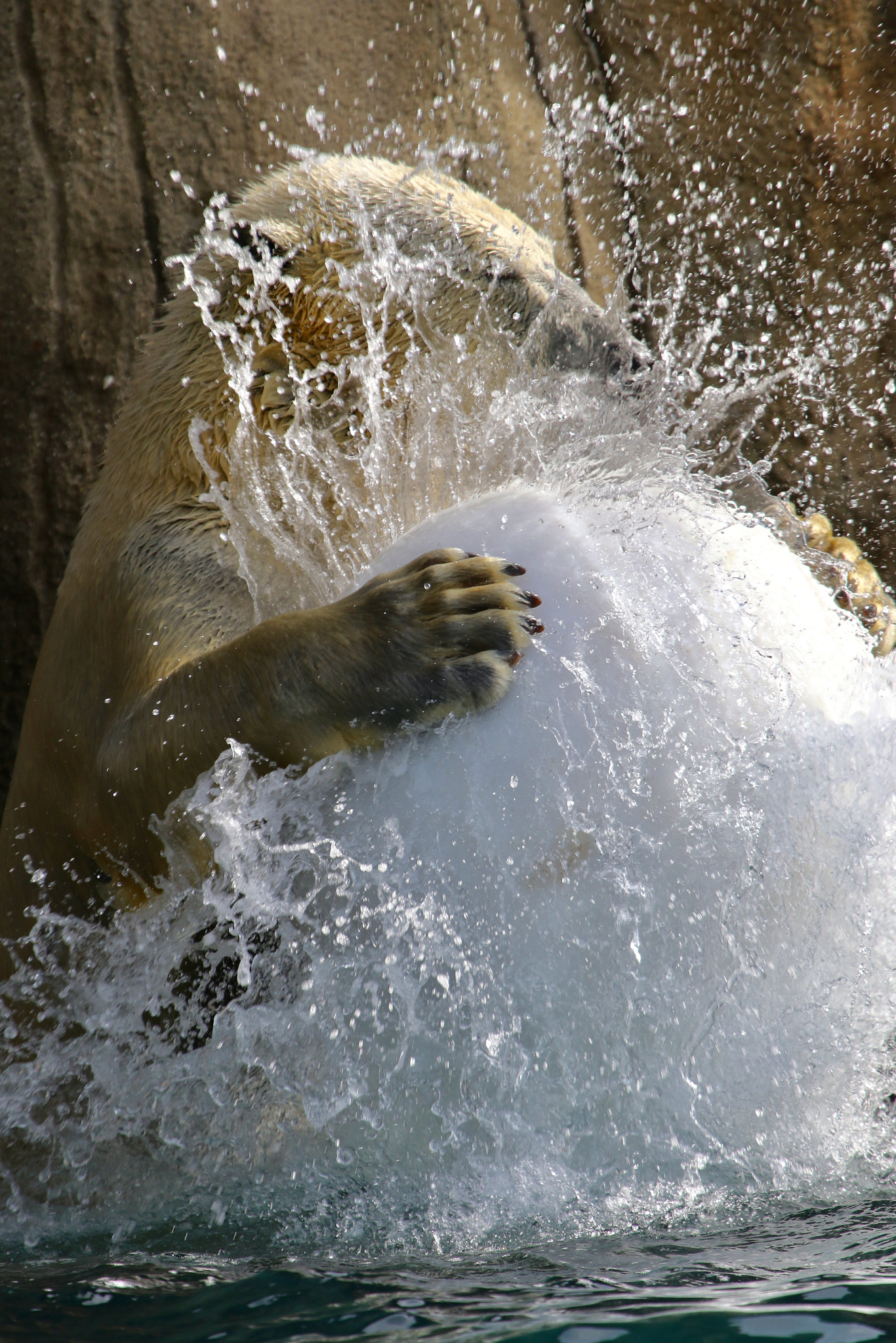Canon EF 100-400mm F4.5-5.6L IS USM sample photo. Splash! photography