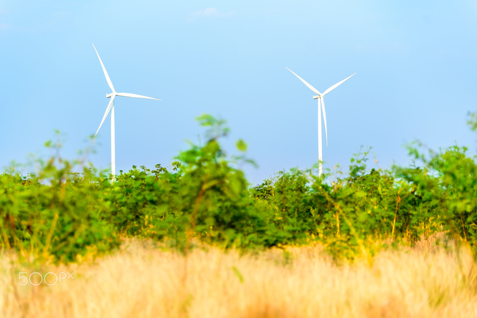 Nikon D750 + Tamron SP 70-200mm F2.8 Di VC USD sample photo. Two wind turbines make green in the field. photography