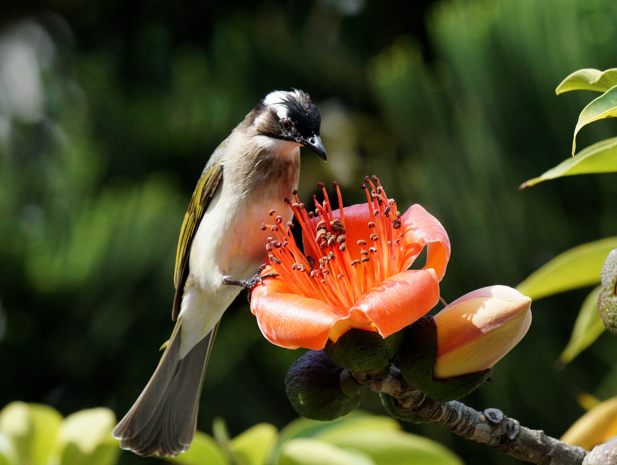 Sony 70-400mm F4-5.6 G SSM II sample photo. Untitled photography