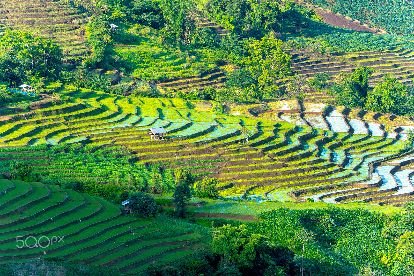Nikon D750 + Tamron SP 70-200mm F2.8 Di VC USD sample photo. Huts over the rice field on mountain. photography