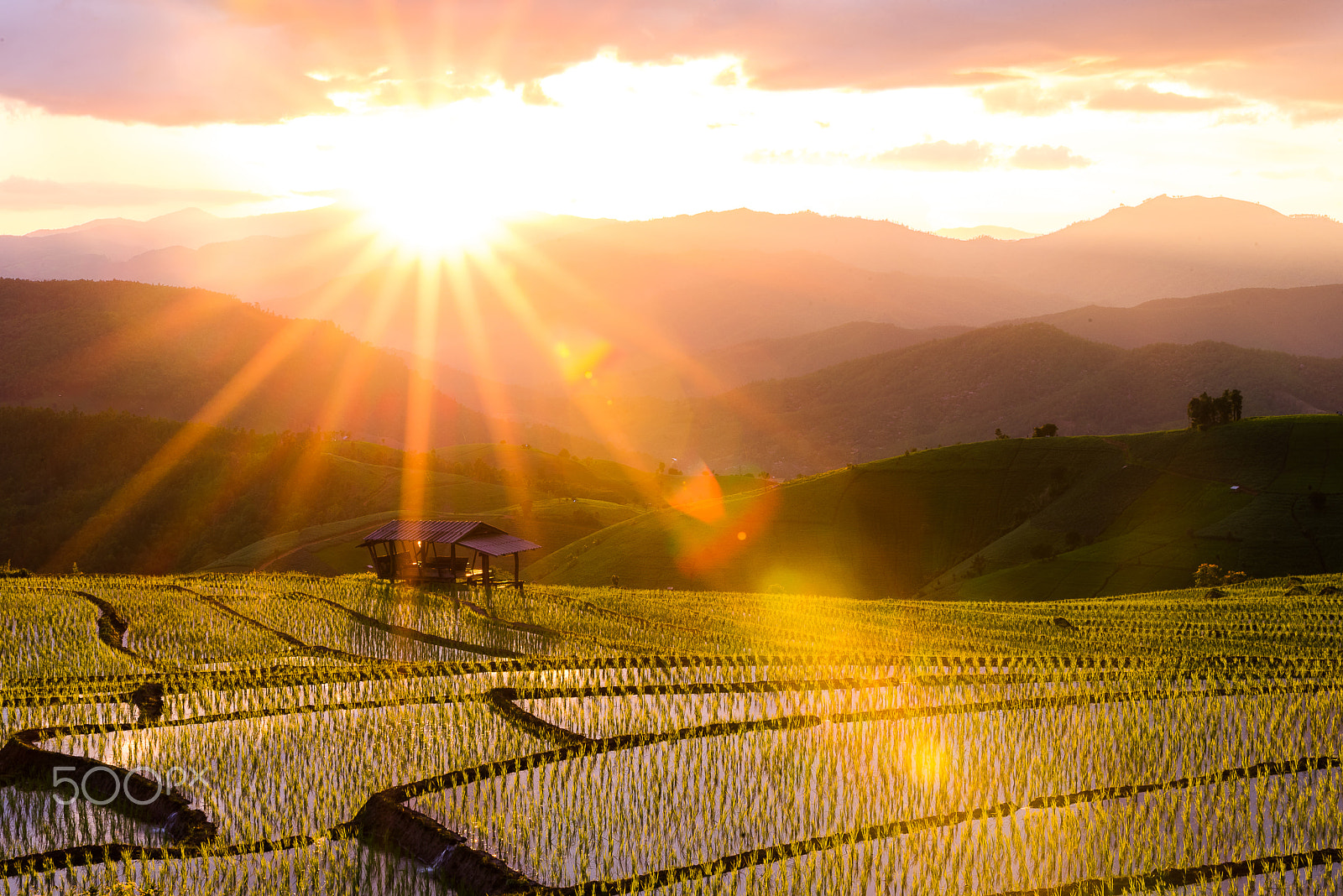 Nikon D750 + Tamron SP 70-200mm F2.8 Di VC USD sample photo. Huts over the rice field on mountain at sunset.. photography