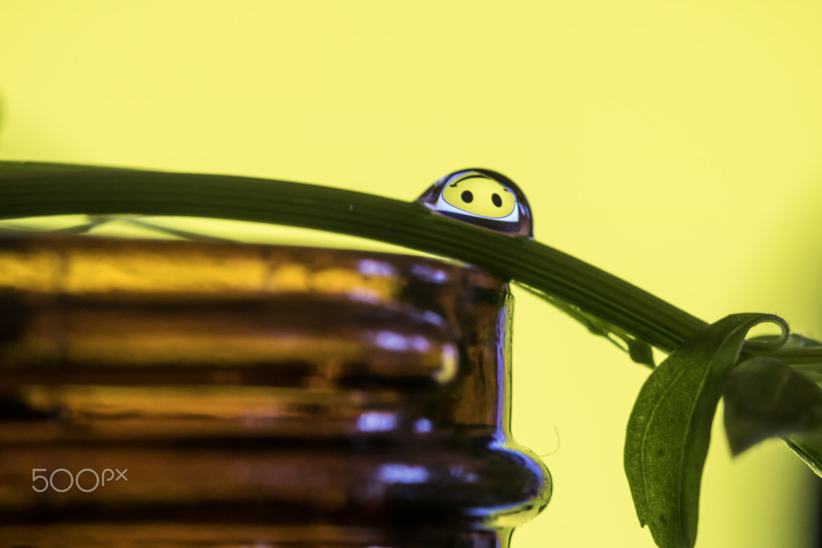 Canon EF 100mm F2.8L Macro IS USM sample photo. Smiling water drop photography