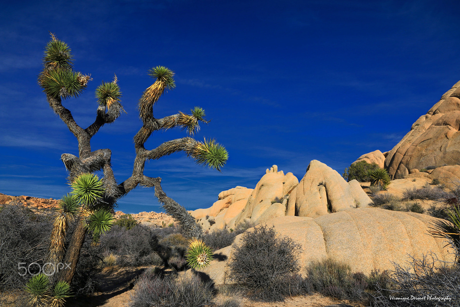 Canon EOS 70D sample photo. Mineral and vegetal photography