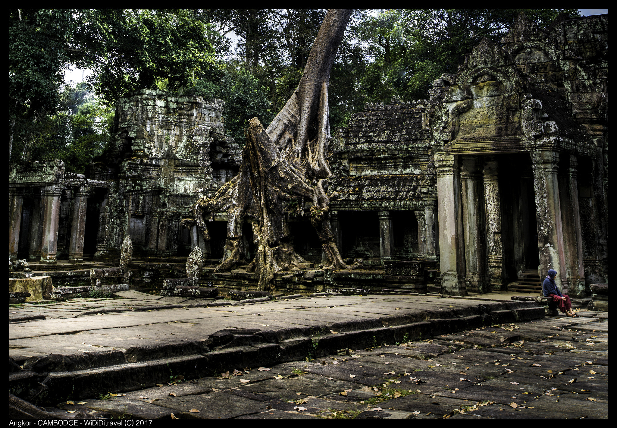 Sony a7R II + Canon EF 16-35mm F2.8L II USM sample photo. Angkor dame photography
