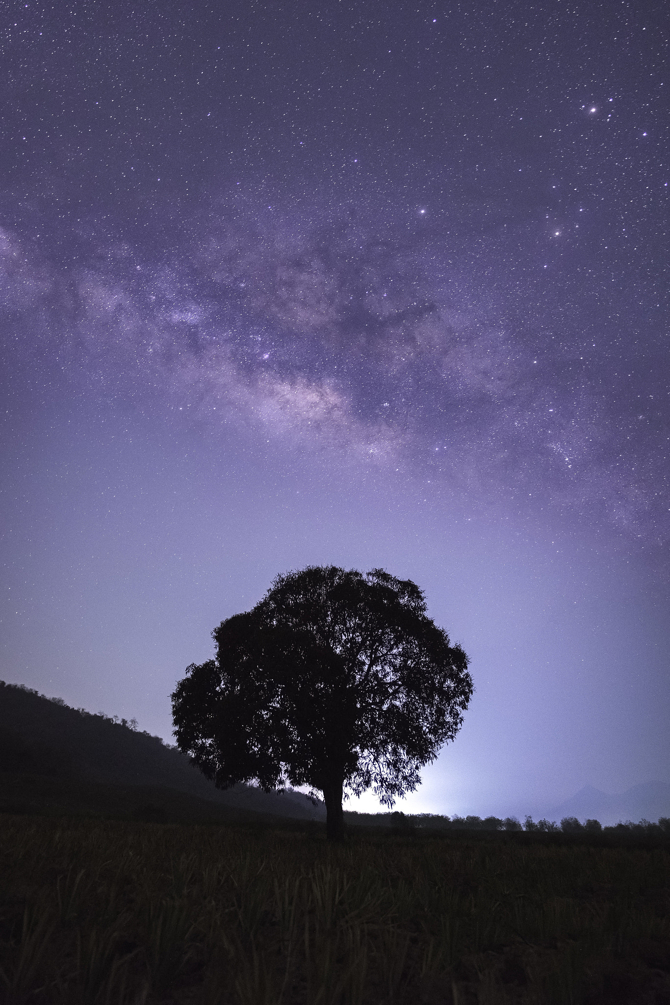 Nikon AF-S Nikkor 24-70mm F2.8G ED sample photo. Alone tree with milky way photography