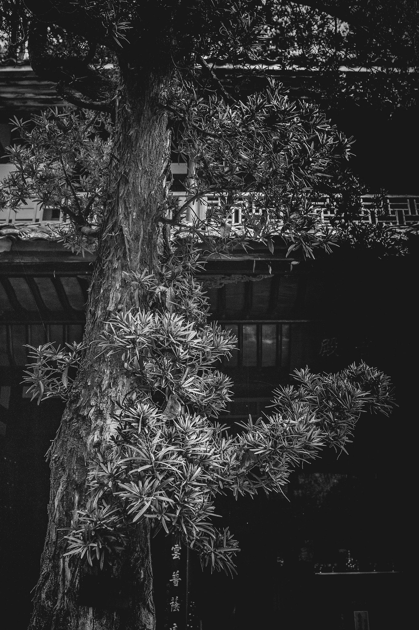 Nikon D700 + Sigma 35mm F1.4 DG HSM Art sample photo