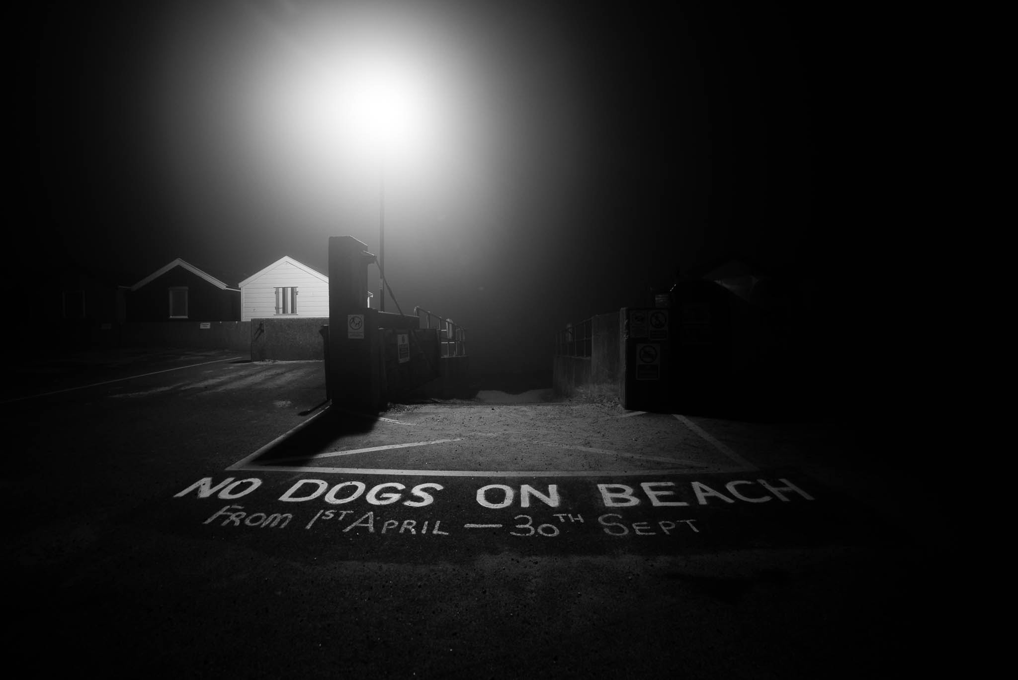 Samyang 14mm F2.8 ED AS IF UMC sample photo. No dogs photography