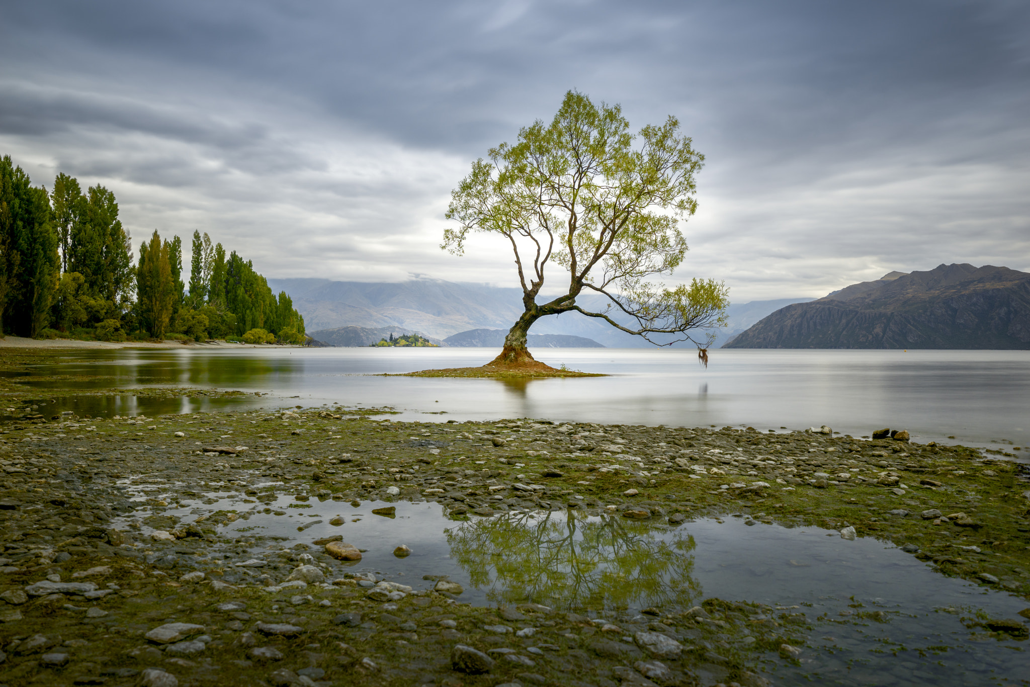 Sony a7R + Sony Vario-Tessar T* FE 16-35mm F4 ZA OSS sample photo. #wanakatree photography