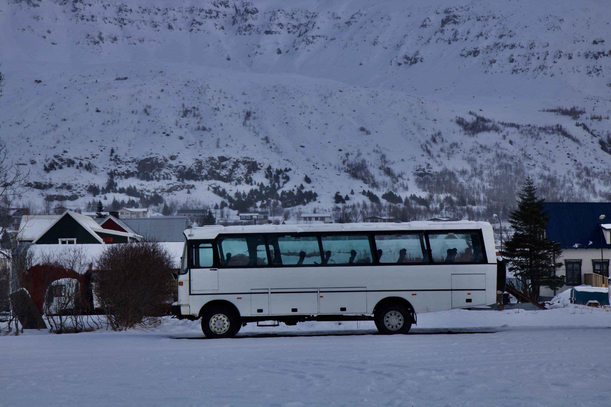 Canon EOS 750D (EOS Rebel T6i / EOS Kiss X8i) sample photo. Img photography