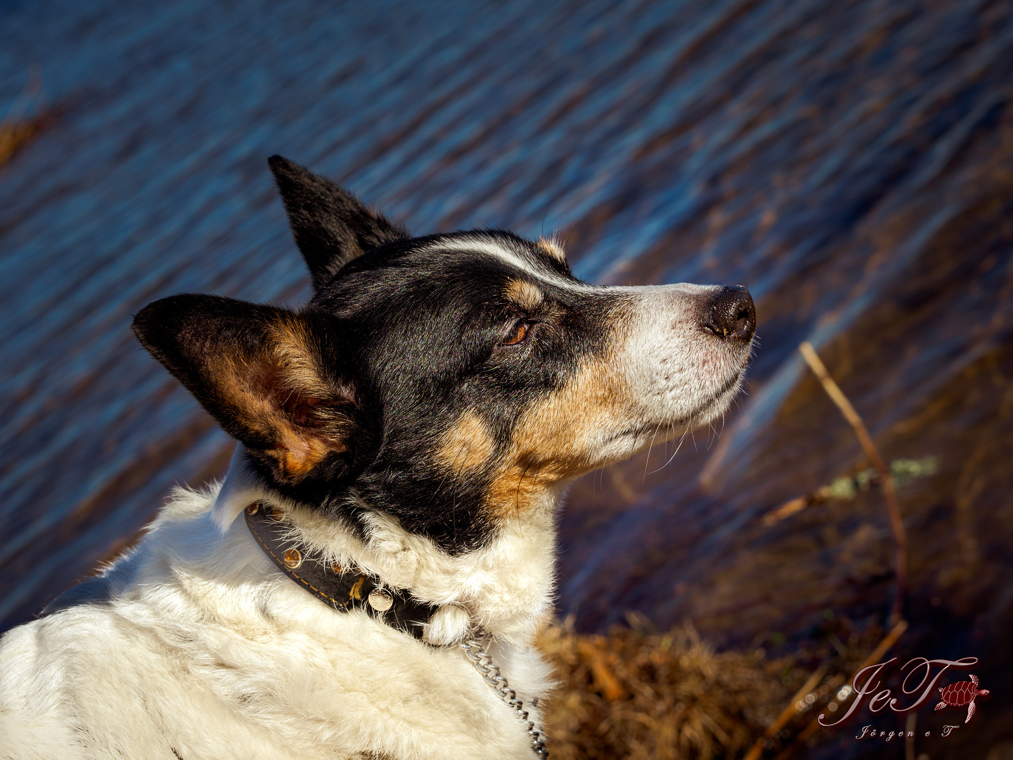 Olympus OM-D E-M1 Mark II + Olympus M.Zuiko Digital ED 40-150mm F2.8 Pro sample photo. Tim photography