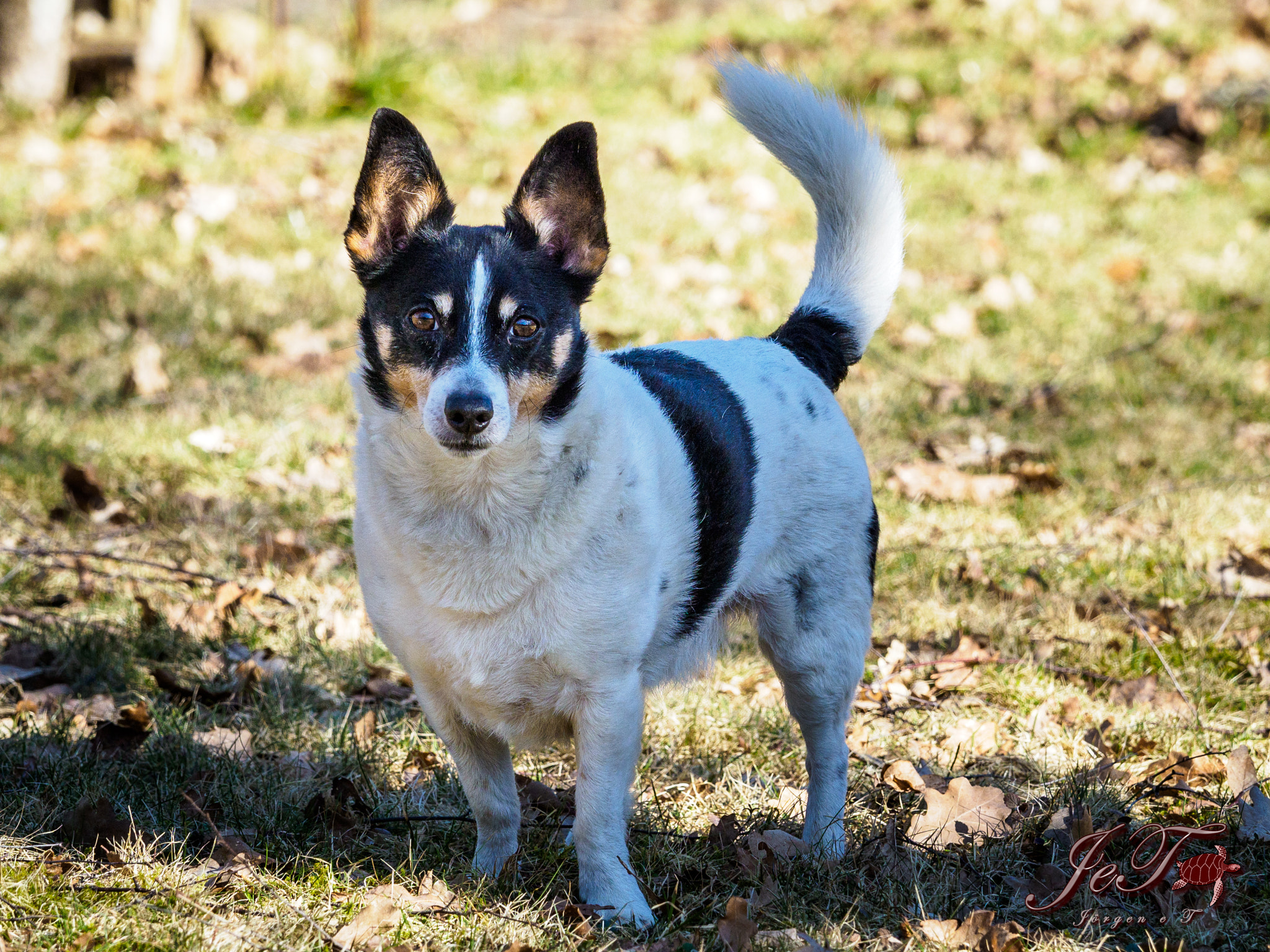 Olympus OM-D E-M1 Mark II + Olympus M.Zuiko Digital ED 40-150mm F2.8 Pro sample photo. Tim photography