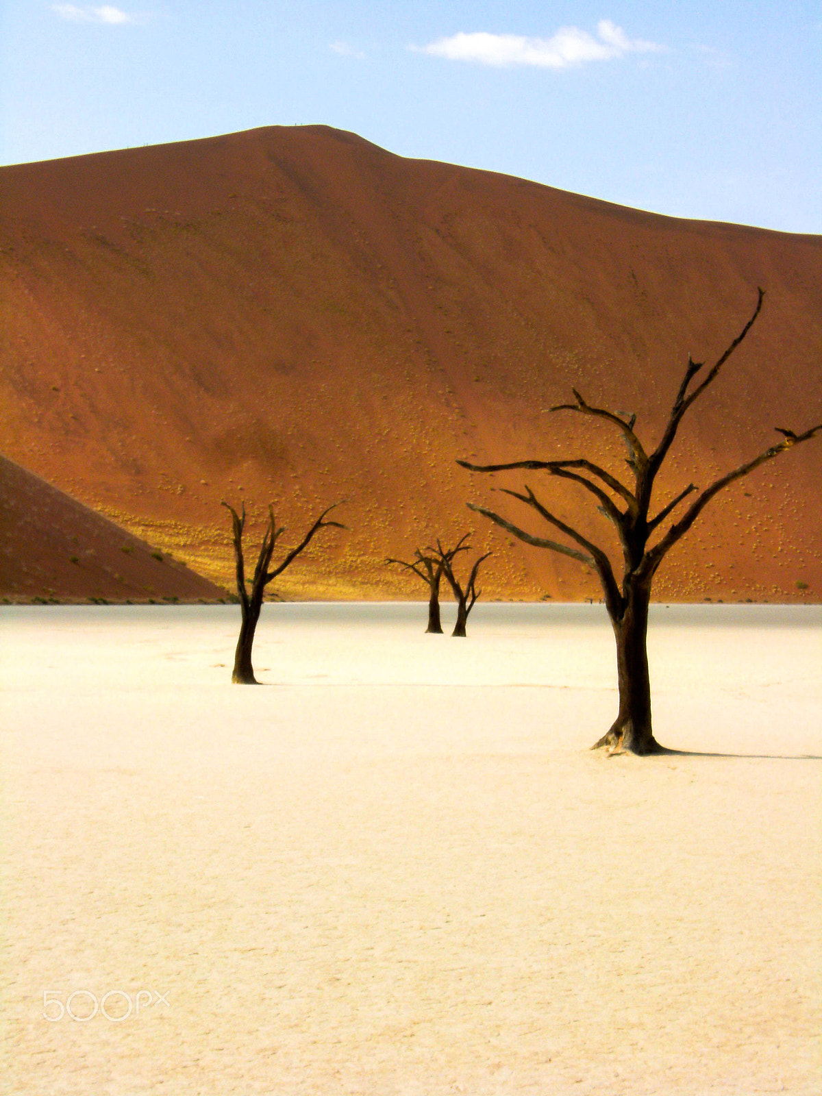 Fujifilm FinePix F480 sample photo. Namibia photography