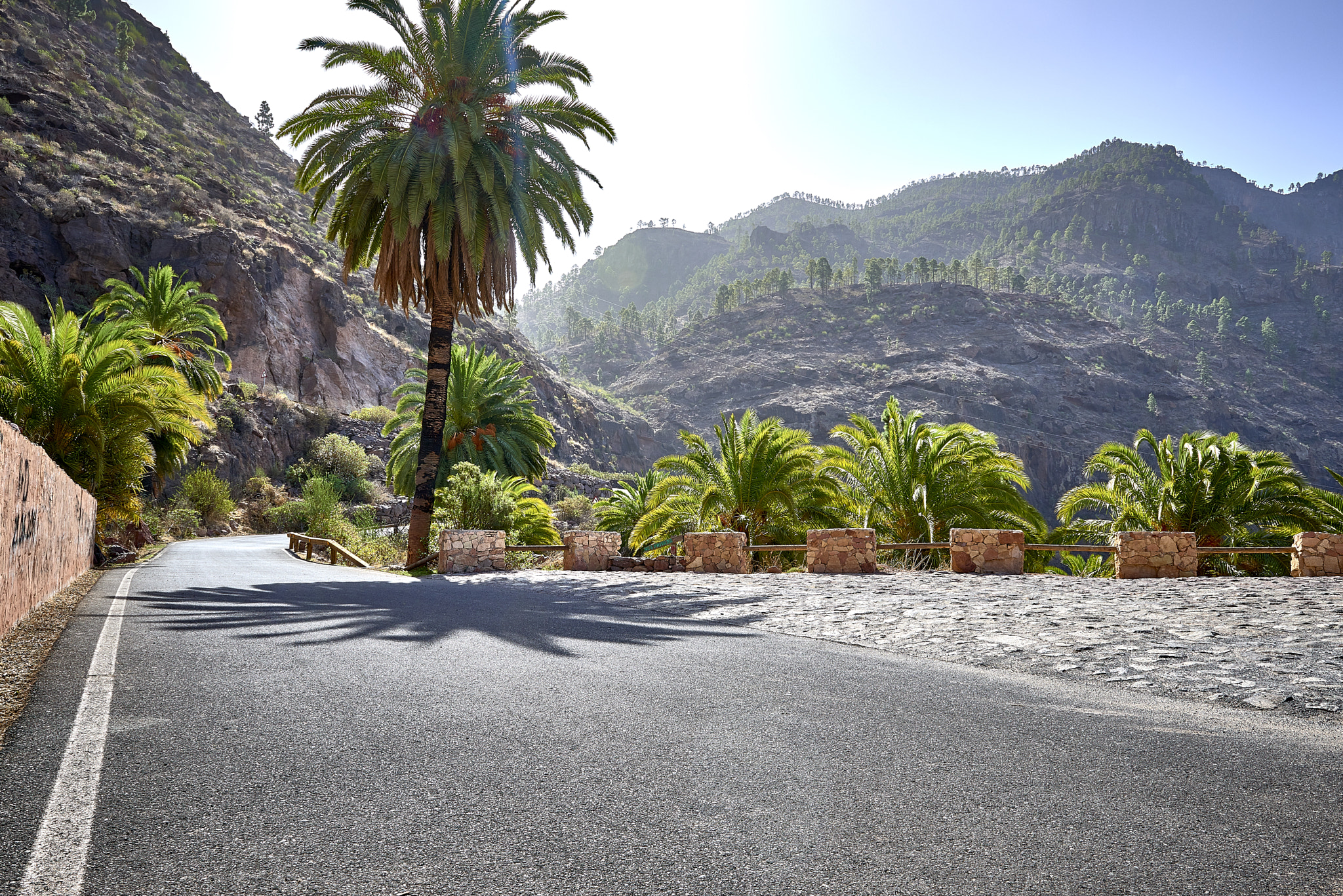 Nikon D800 sample photo. Somewhere on the gc-805 road at gran canaria photography