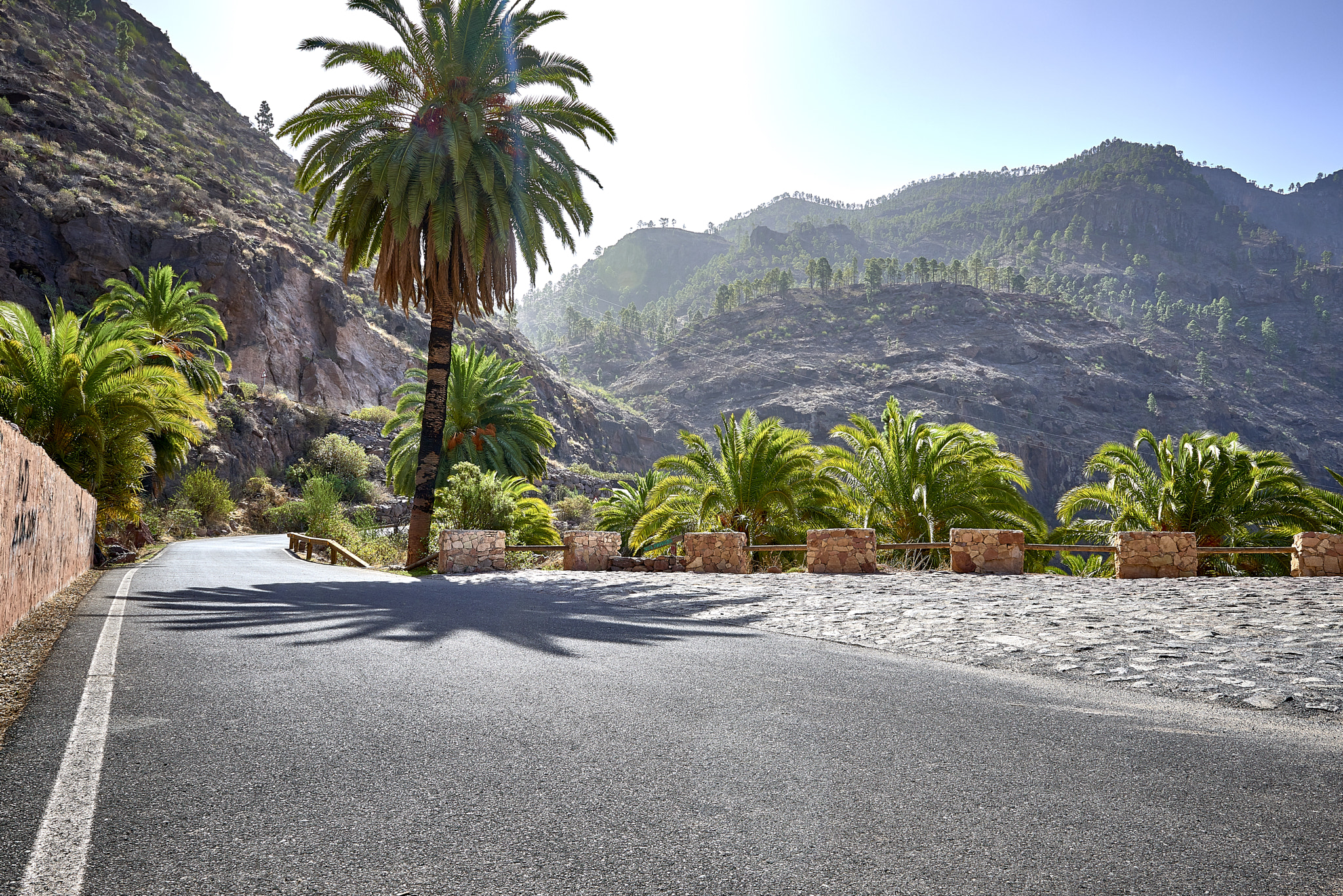 Nikon AF-S Nikkor 24-70mm F2.8G ED sample photo. Somewhere on the gc-805 road at gran canaria photography