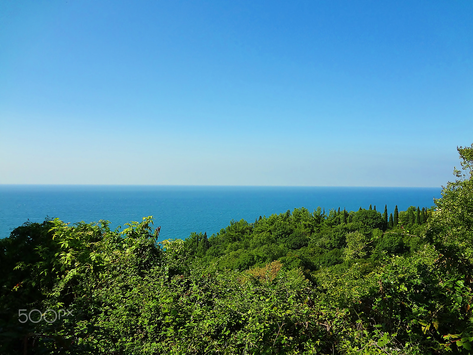 Sony DSC-WX7 sample photo. *** photography
