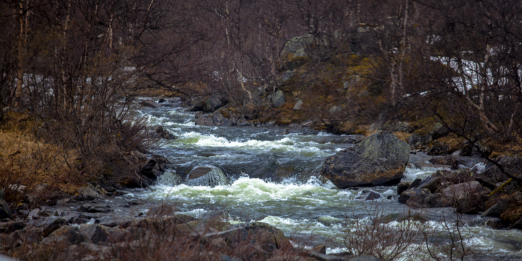 Canon EOS 5D Mark II + Canon EF 70-200mm F2.8L USM sample photo. *-*-*-* photography