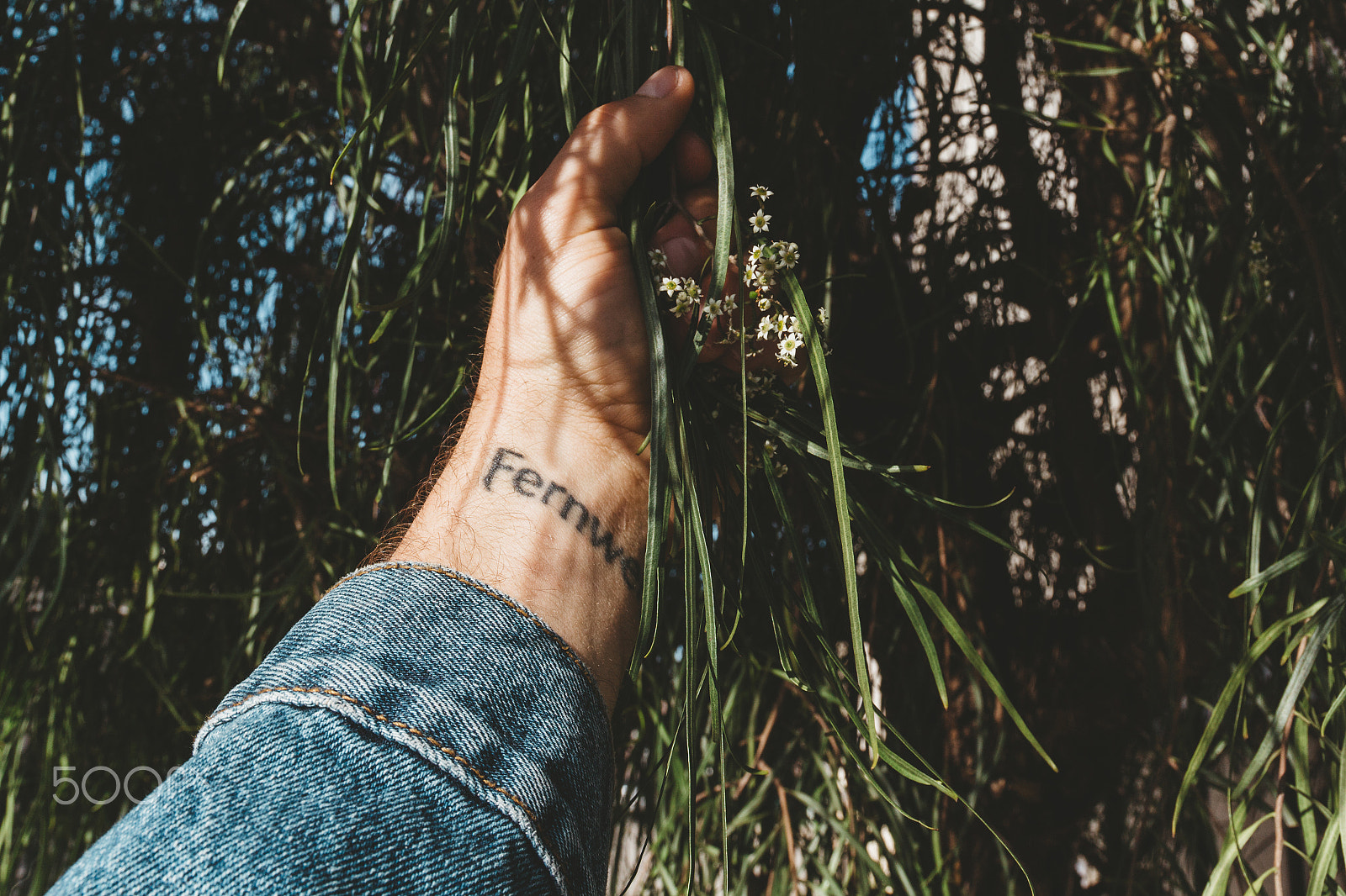 Canon EOS 650D (EOS Rebel T4i / EOS Kiss X6i) sample photo. Grasping for life | santa monica photography