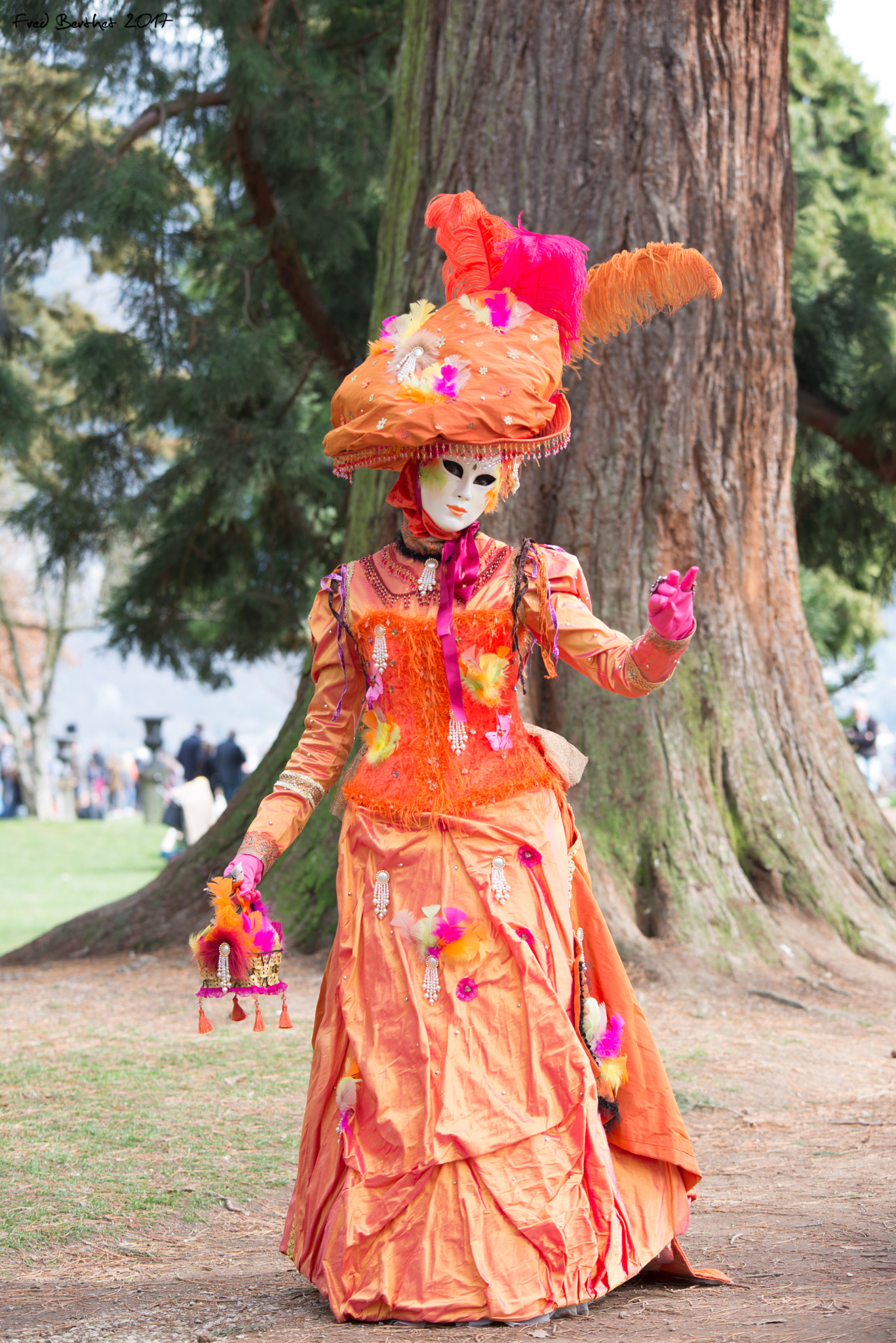 Sigma 70-200mm F2.8 EX DG OS HSM sample photo. Carnaval vénitien annecy 2017 photography