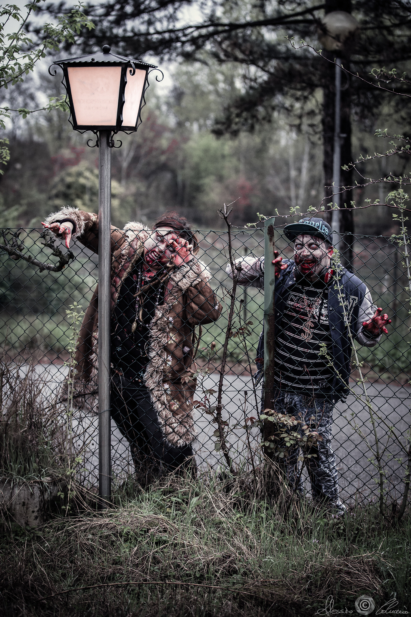 Canon EOS-1D X sample photo. Zombie in greenland photography