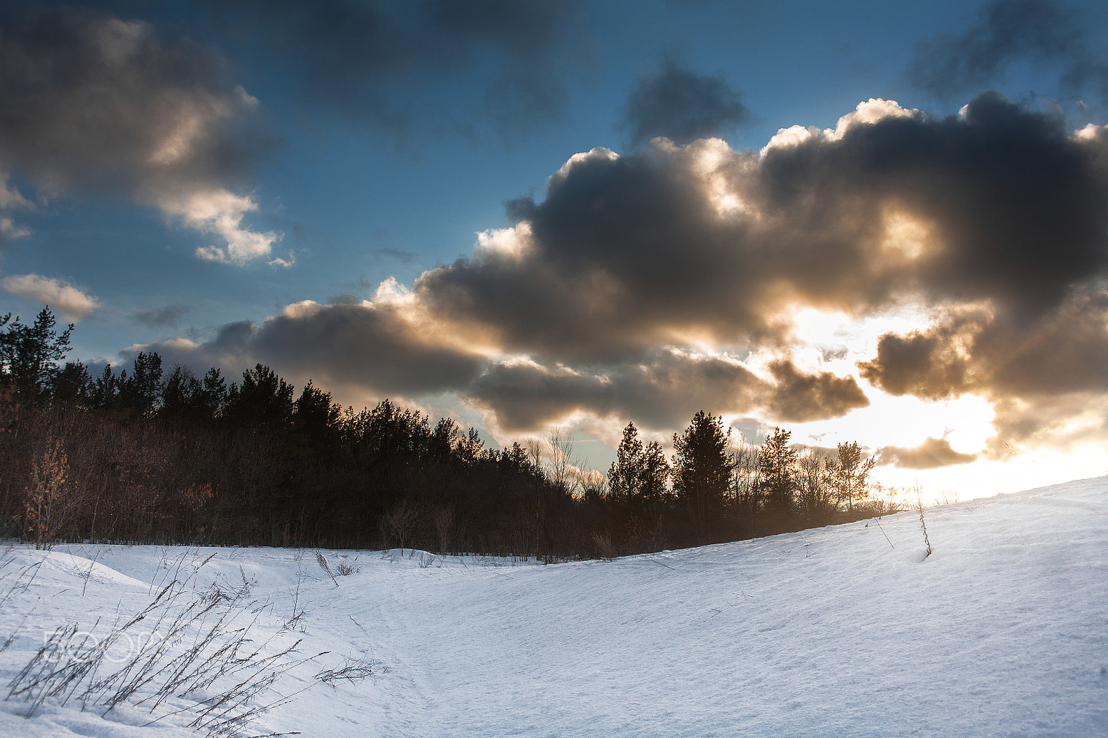 Canon EF 35-105mm f/3.5-4.5 sample photo. закат в лесу photography