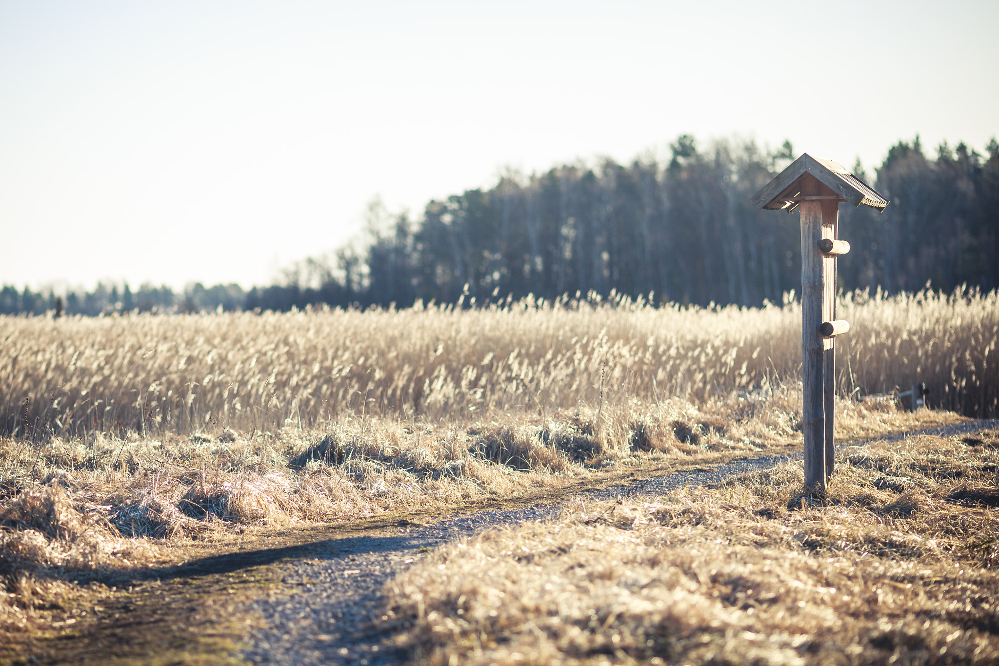 Canon EOS 6D + Canon EF 135mm F2L USM sample photo. What's your story you are leaving behind? photography