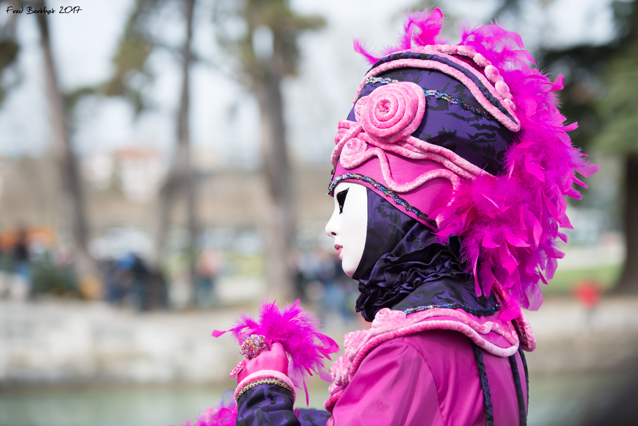 Nikon D600 + Sigma 70-200mm F2.8 EX DG OS HSM sample photo. Carnaval vénitien annecy 2017 photography