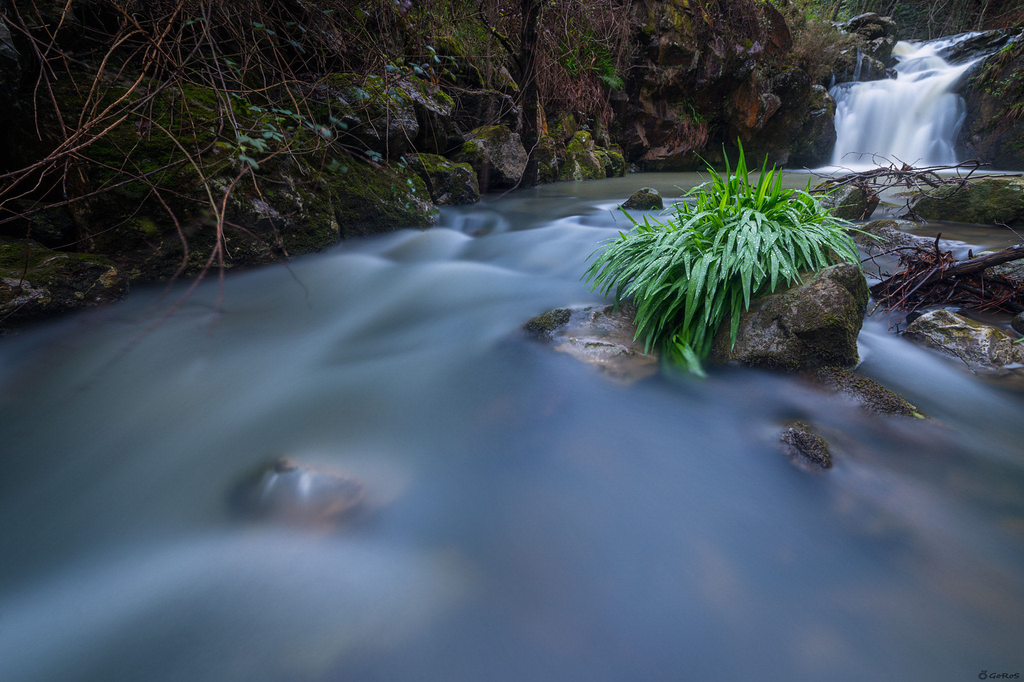 Nikon AF-S Nikkor 14-24mm F2.8G ED sample photo. After the rain photography