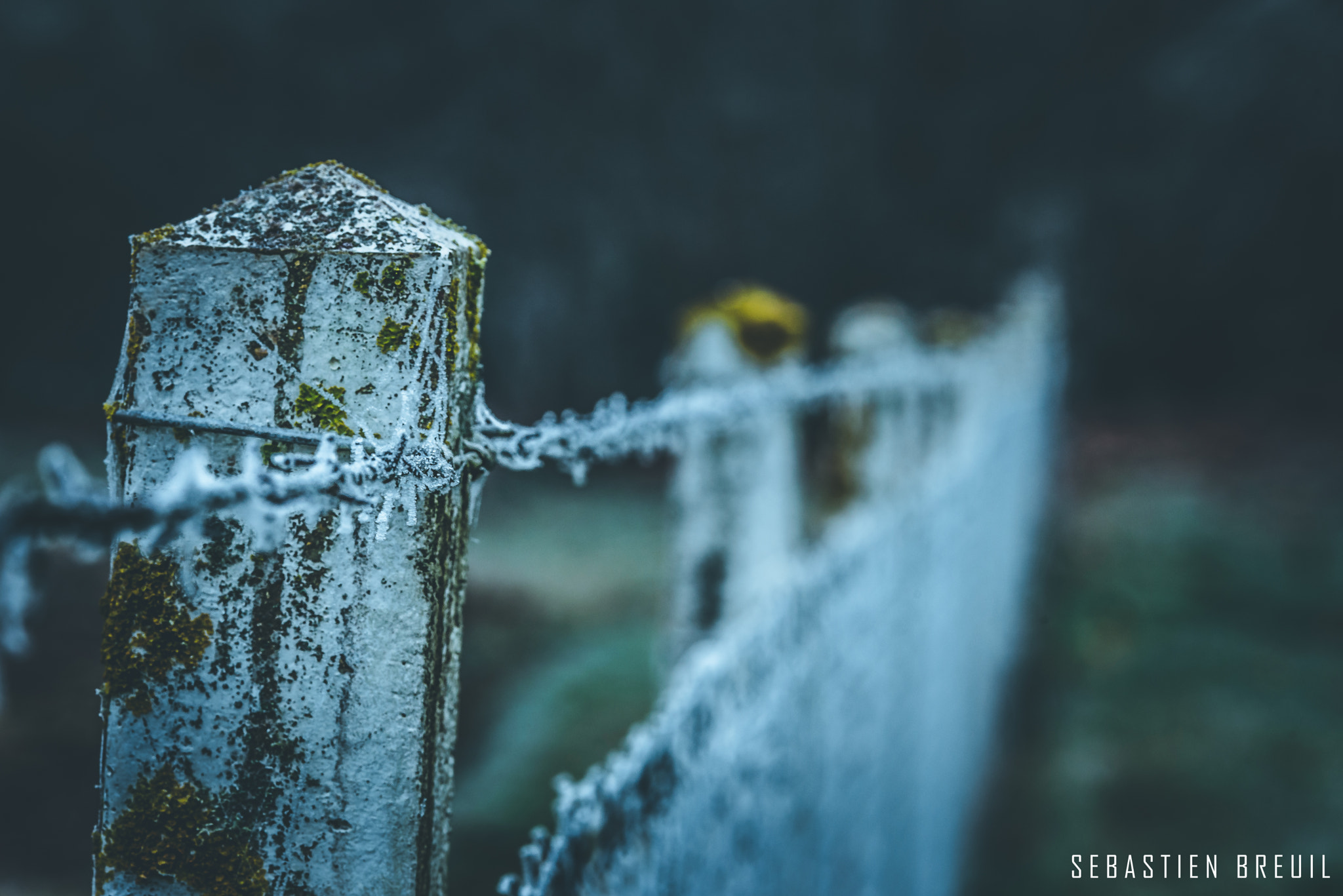 Sigma 70-200mm F2.8 EX DG OS HSM sample photo. Sebastien breuil photography
