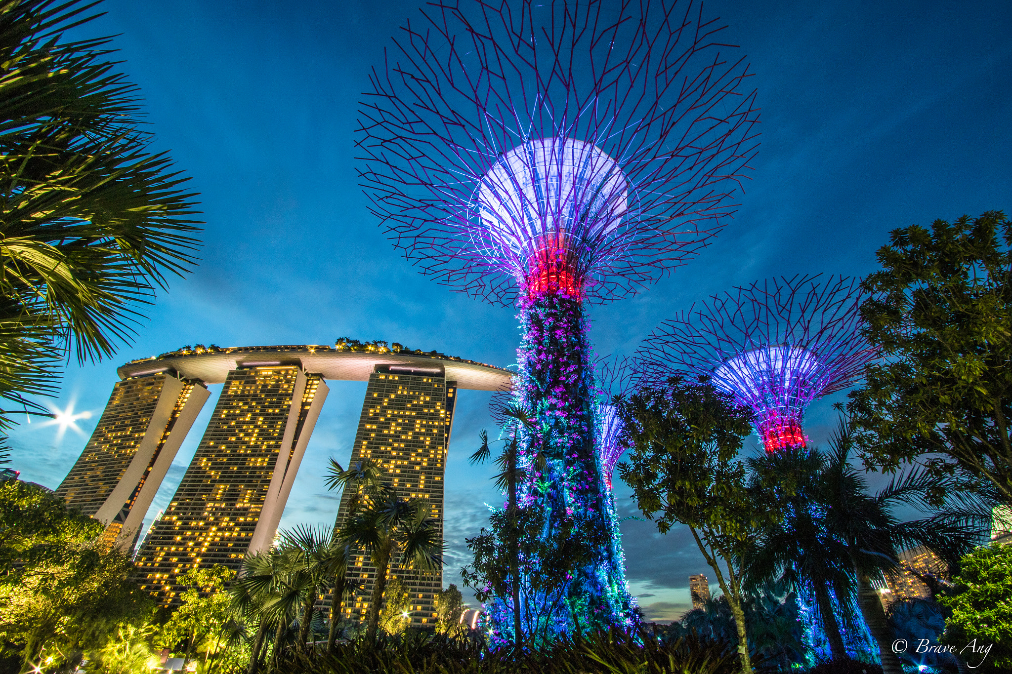 Canon EF-S 10-22mm F3.5-4.5 USM sample photo. The amazing super tree grooves with marina bay san photography