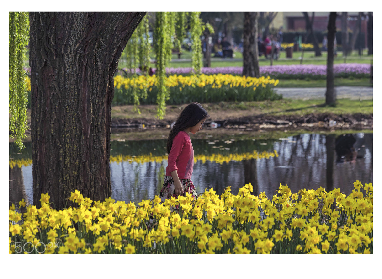 Canon EF 70-300mm F4-5.6 IS USM sample photo. Botanikpark - bursa photography