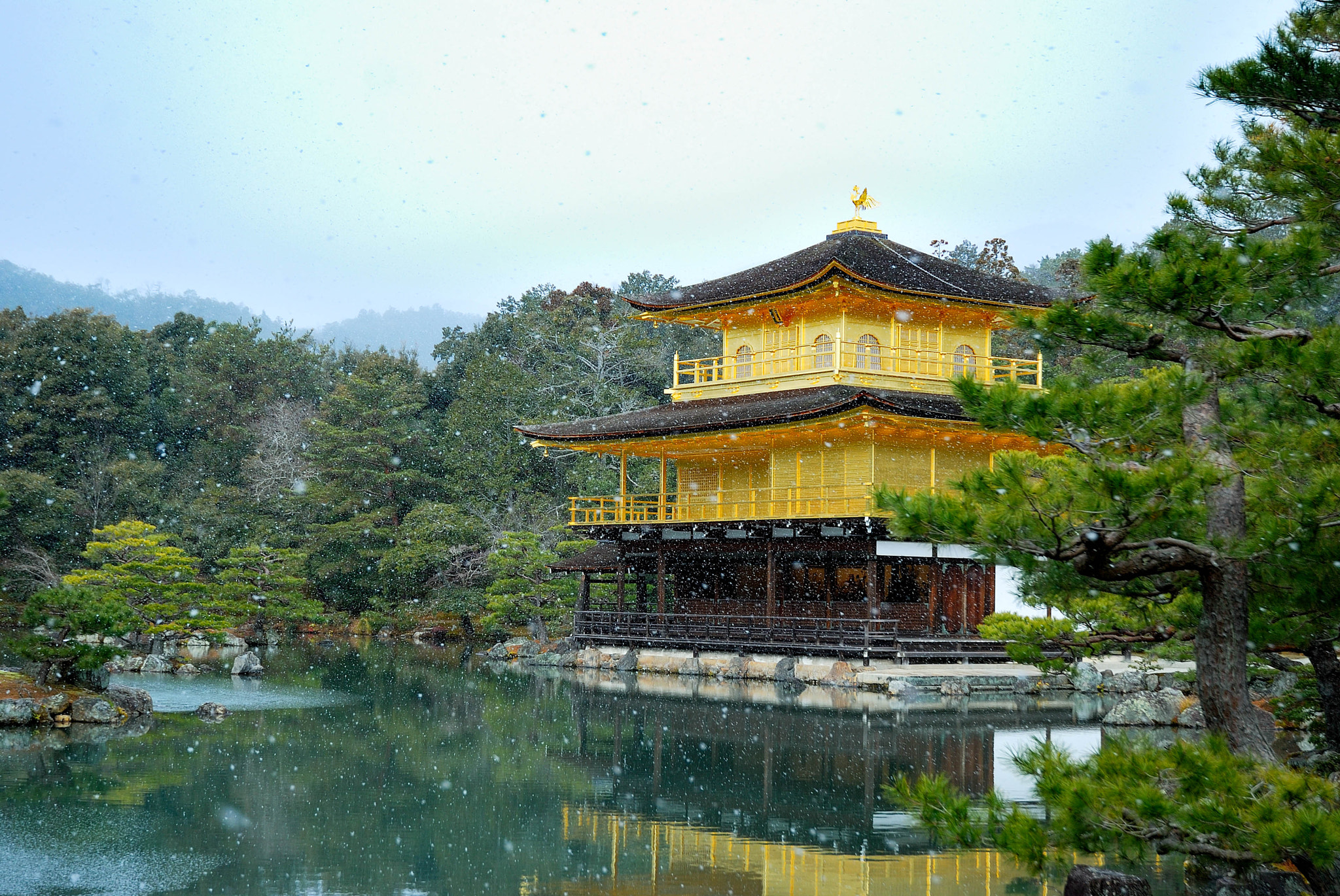 Nikon D80 sample photo. Kinkaku-temple photography