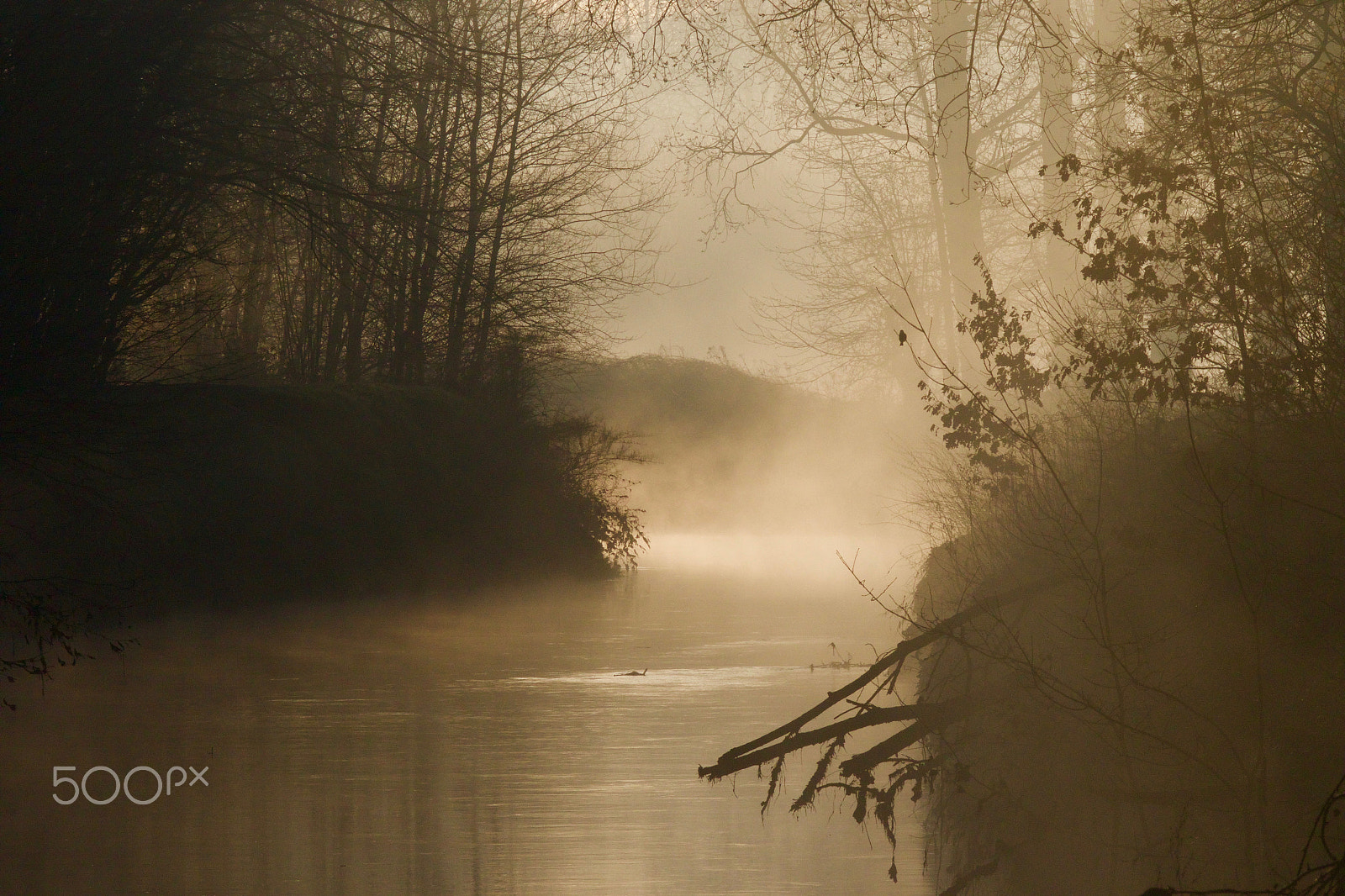 Canon EOS 7D Mark II sample photo. Early morning river view photography