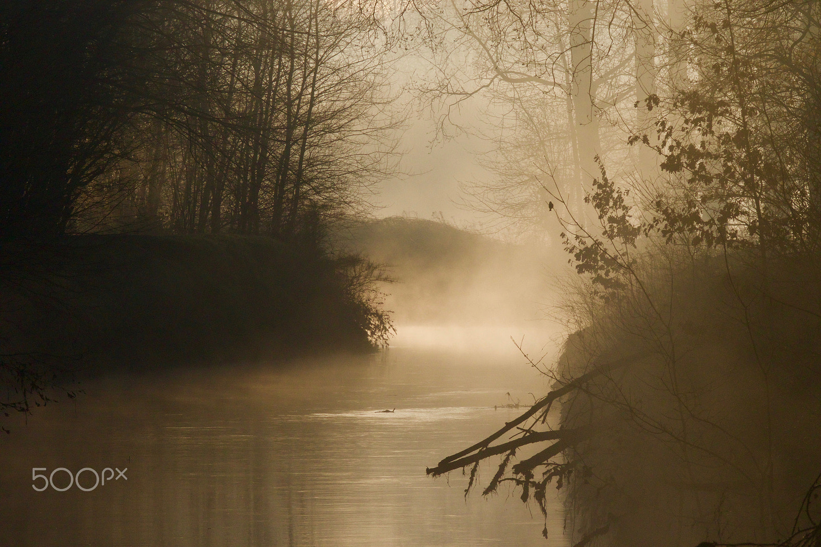 Canon EF 300mm F2.8L IS USM sample photo. Early morning river view photography