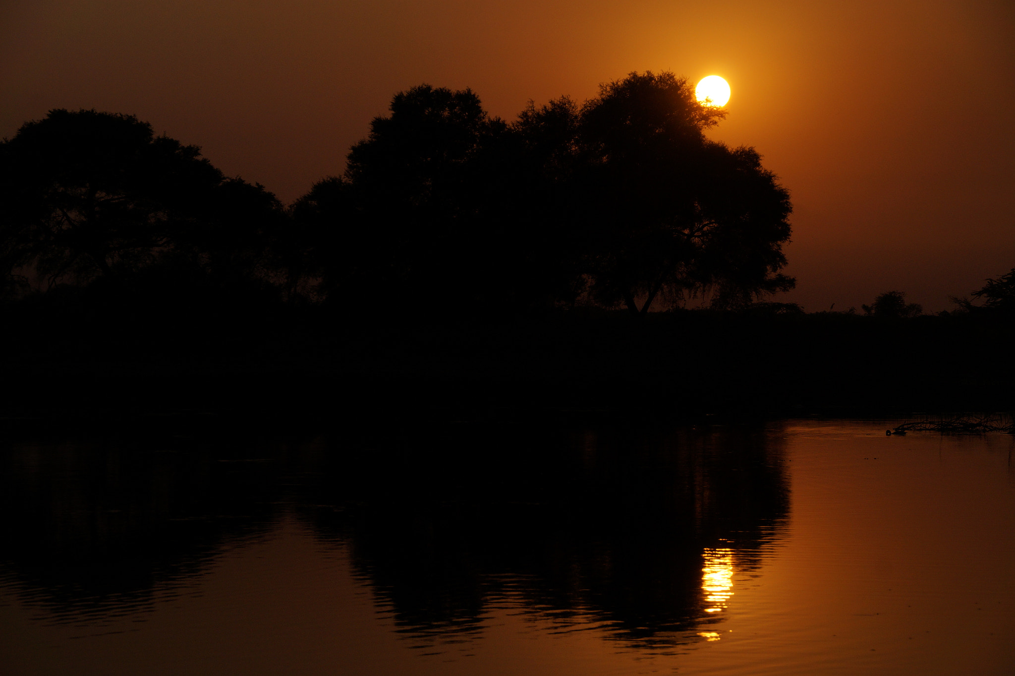 Sony DT 18-250mm F3.5-6.3 sample photo