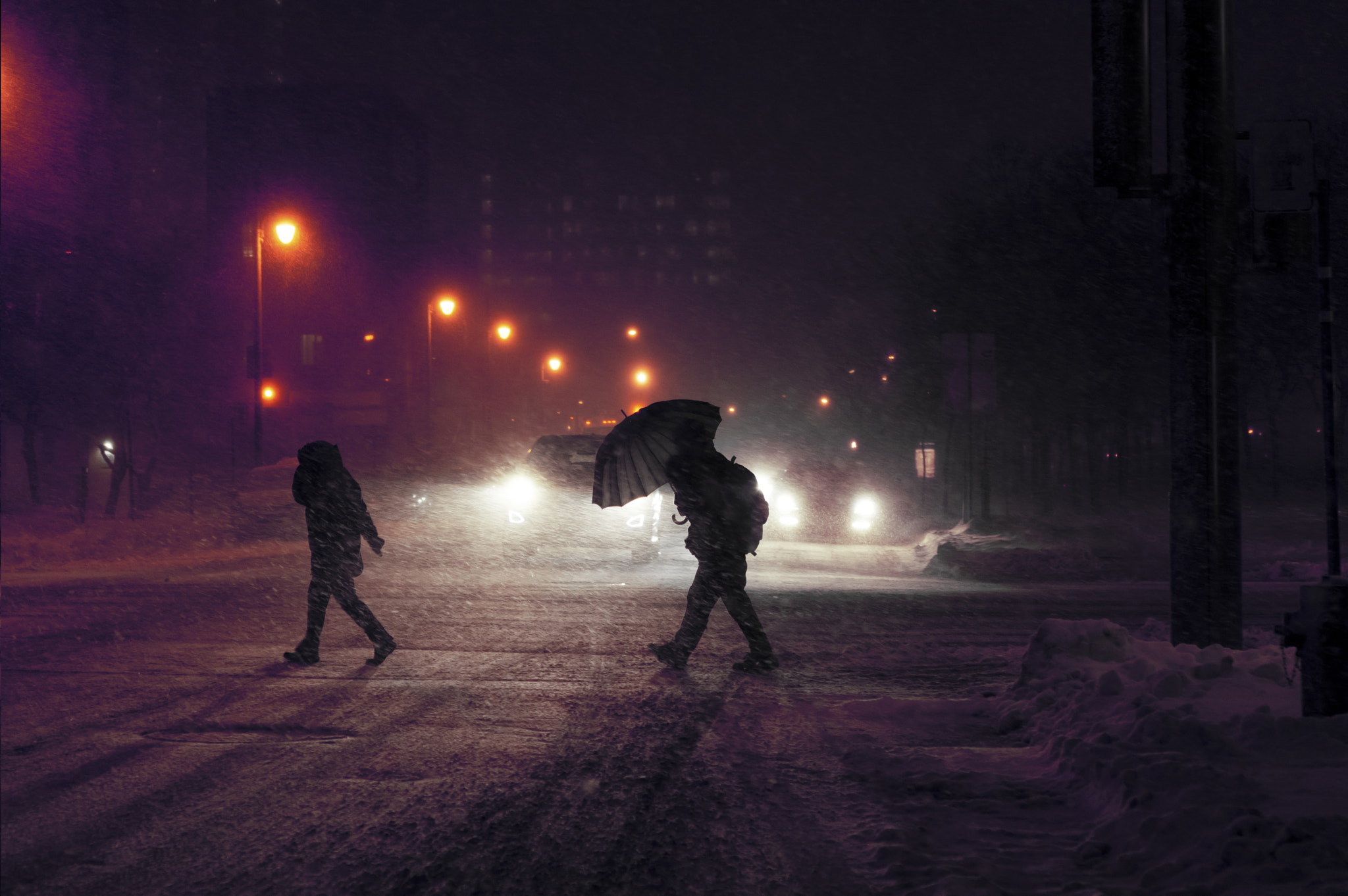 Nikon D7100 + Nikon AF-S Micro-Nikkor 60mm F2.8G ED sample photo. Snowstorm in montreal #2 photography