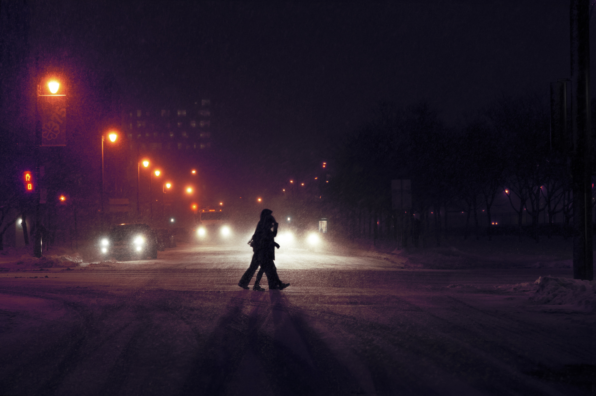 Nikon AF-S Micro-Nikkor 60mm F2.8G ED sample photo. Snowstorm in montreal #3 photography