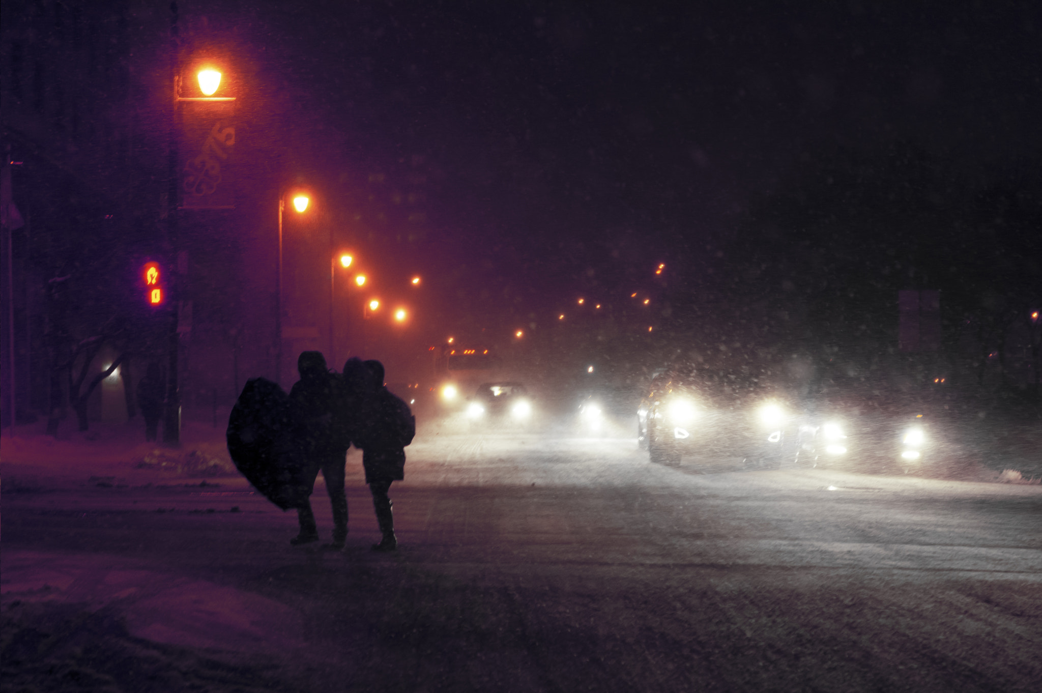 Nikon D7100 + Nikon AF-S Micro-Nikkor 60mm F2.8G ED sample photo. Snowstorm in montreal #4 photography