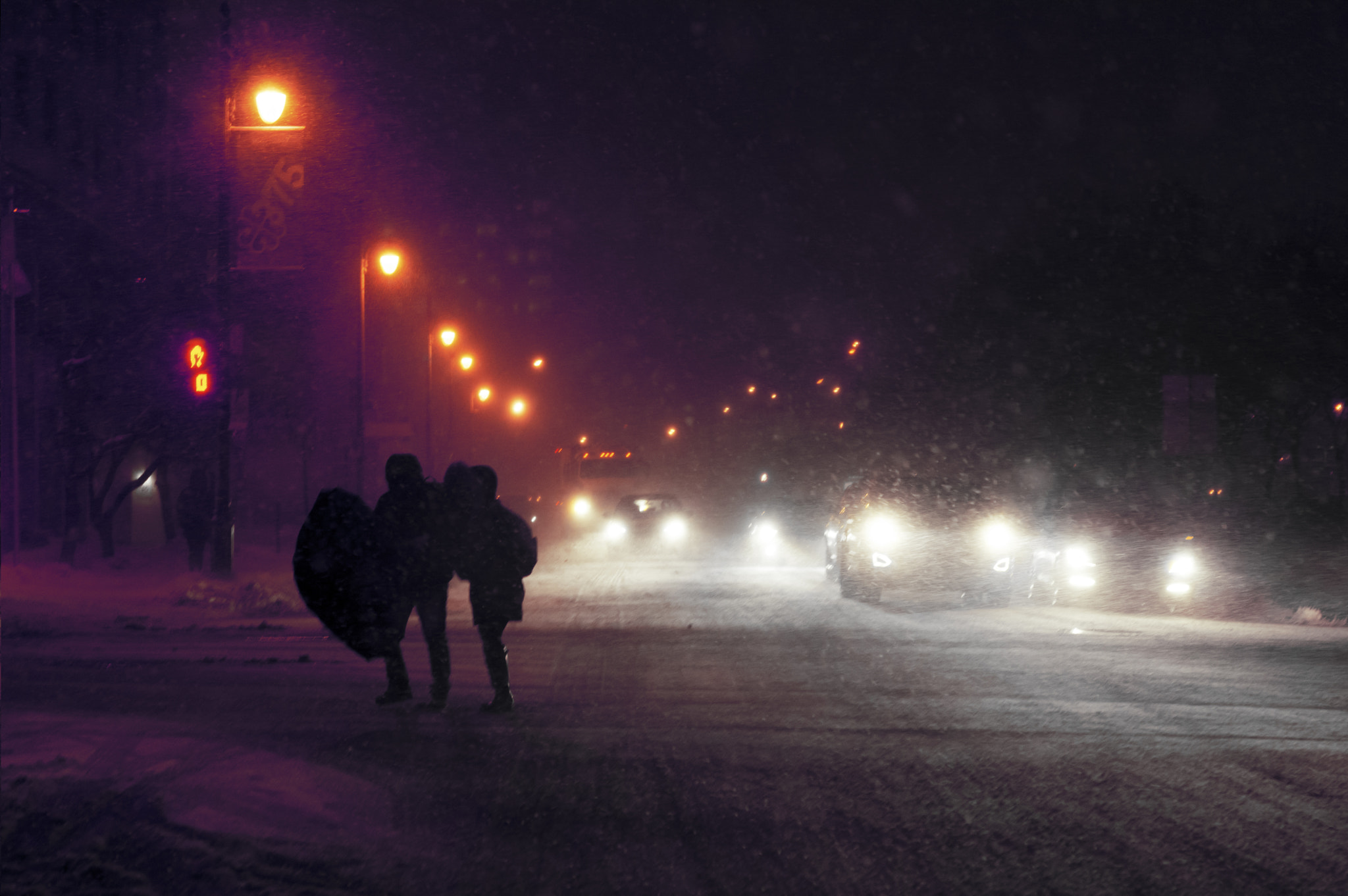 Nikon AF-S Micro-Nikkor 60mm F2.8G ED sample photo. Snowstorm in montreal #4 photography