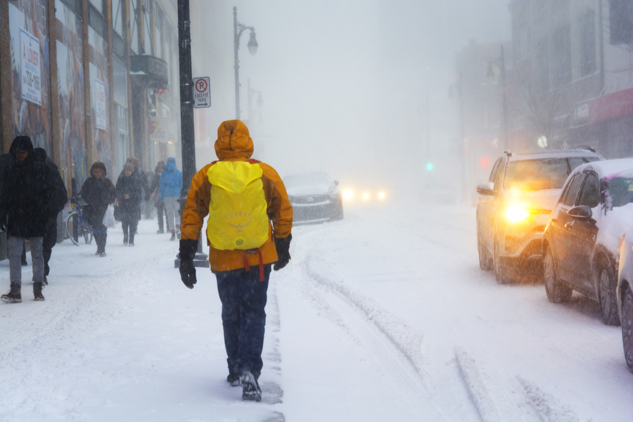 Nikon D7100 + Nikon AF-S Micro-Nikkor 60mm F2.8G ED sample photo. Snowstorm in montreal #5 photography