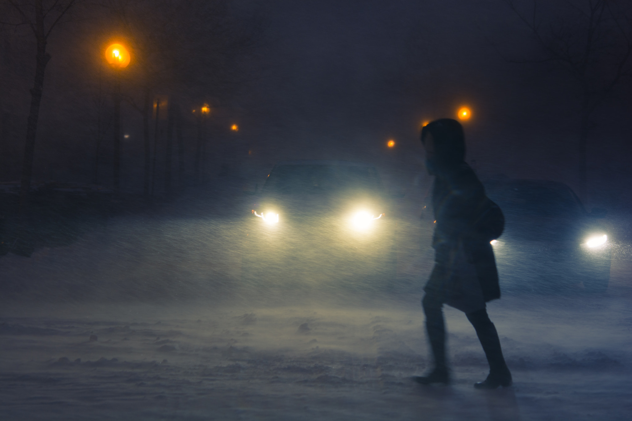 Nikon D7100 + Nikon AF-S Micro-Nikkor 60mm F2.8G ED sample photo. Snowstorm in montreal #6 photography