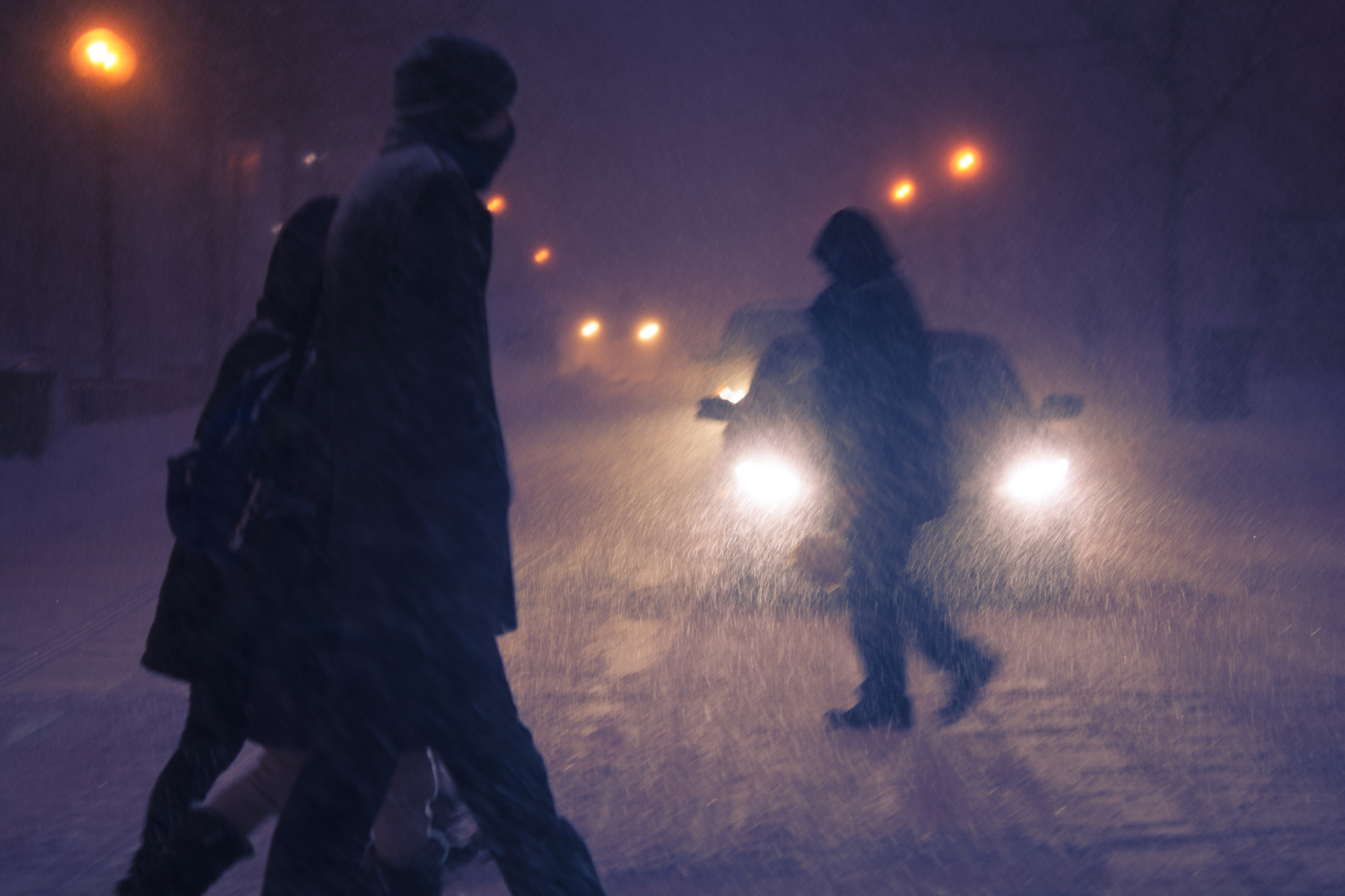 Nikon D7100 + Nikon AF-S Micro-Nikkor 60mm F2.8G ED sample photo. Snowstorm in montreal #7 photography