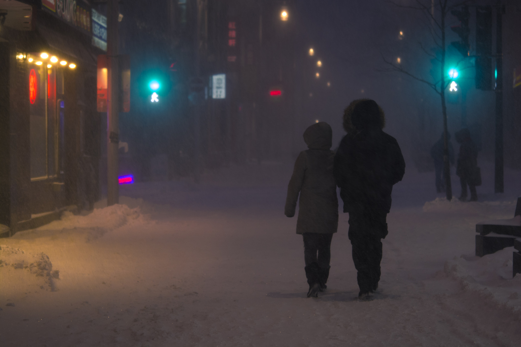 Nikon AF-S Micro-Nikkor 60mm F2.8G ED sample photo. Snowstorm in montreal #8 photography